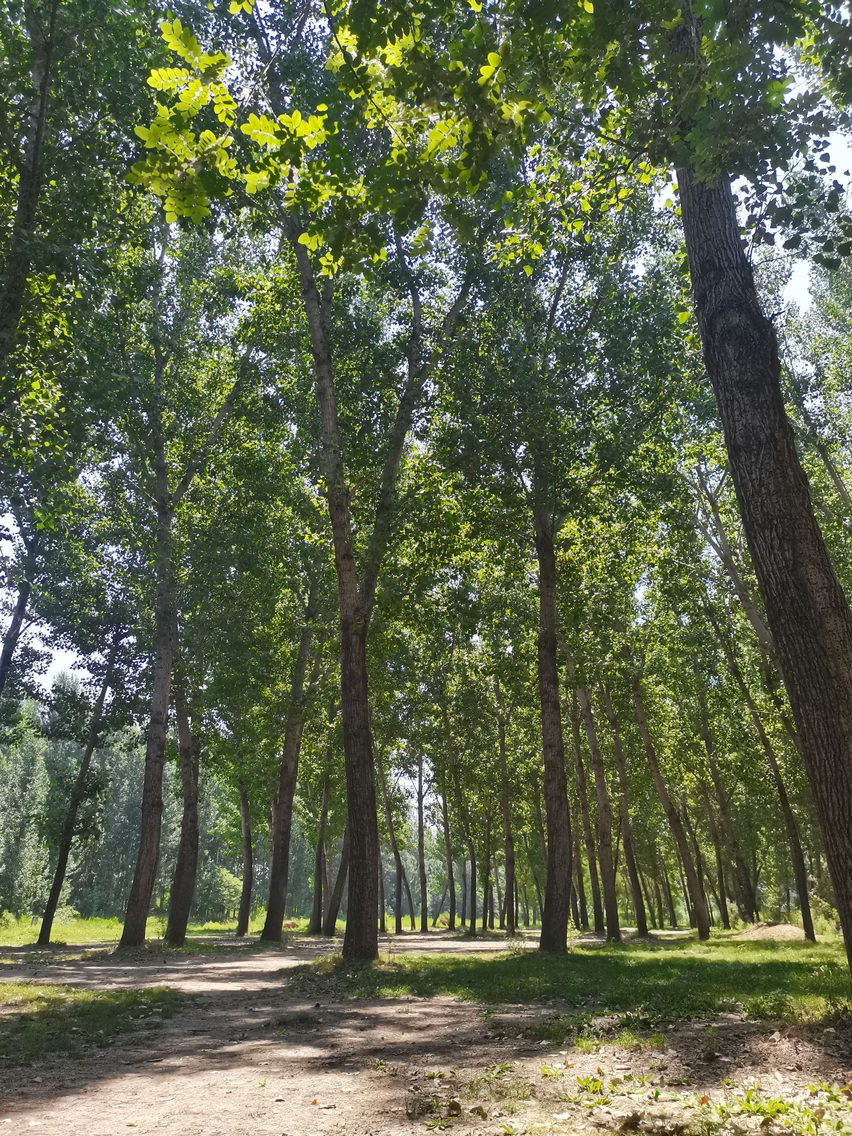 徐水燕长城遗址旅行图片 3