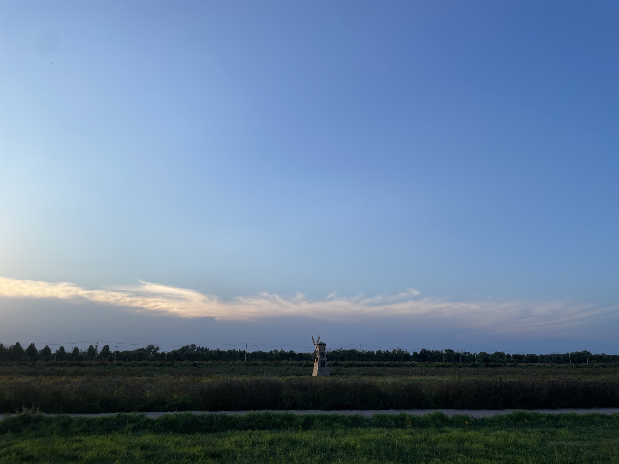 禹城花海旅行图片 2