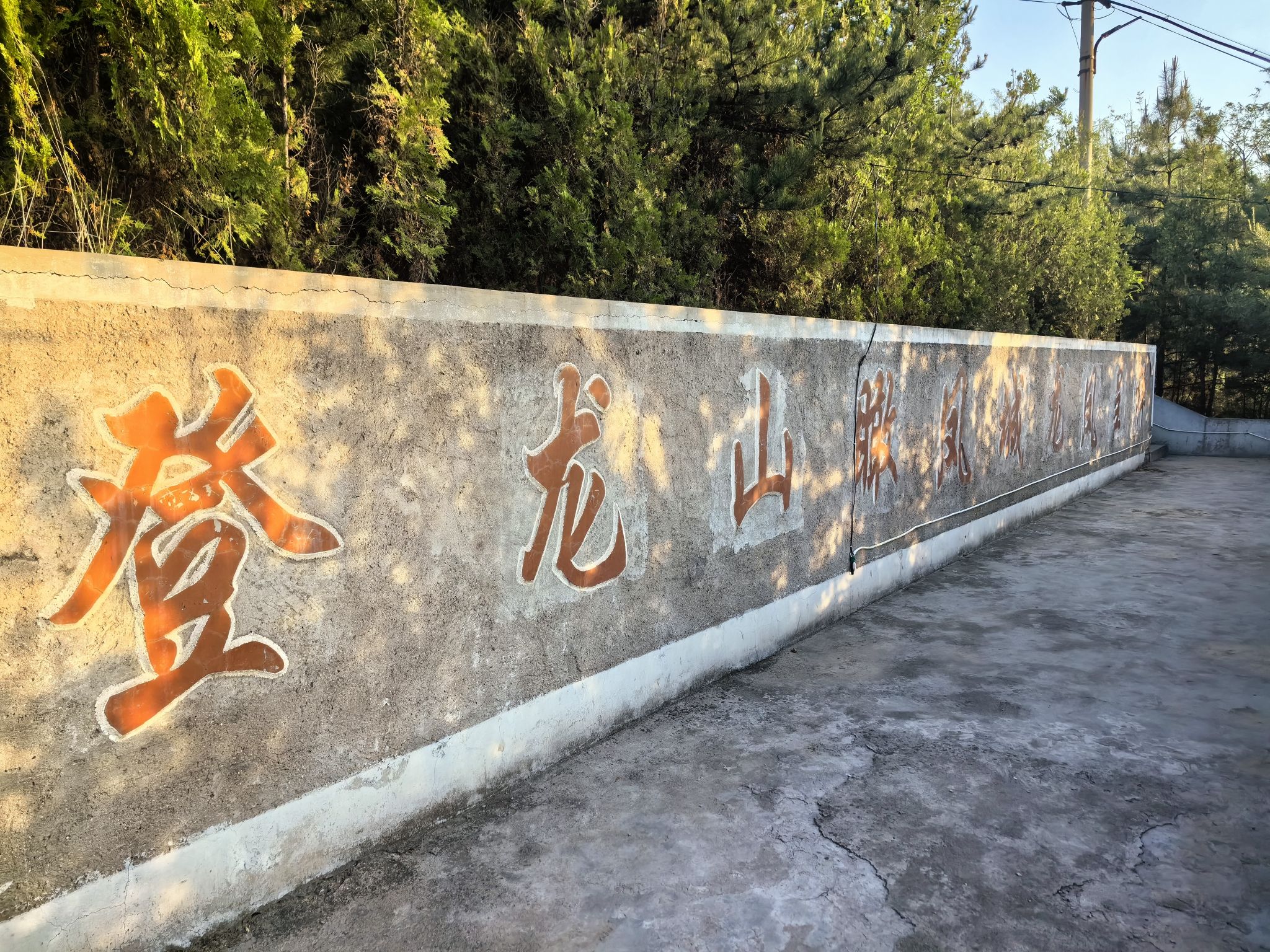 龙山生态园旅行图片 1