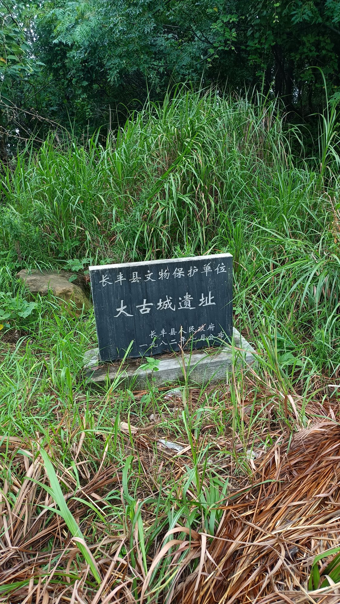 大古城遗址旅行图片 1