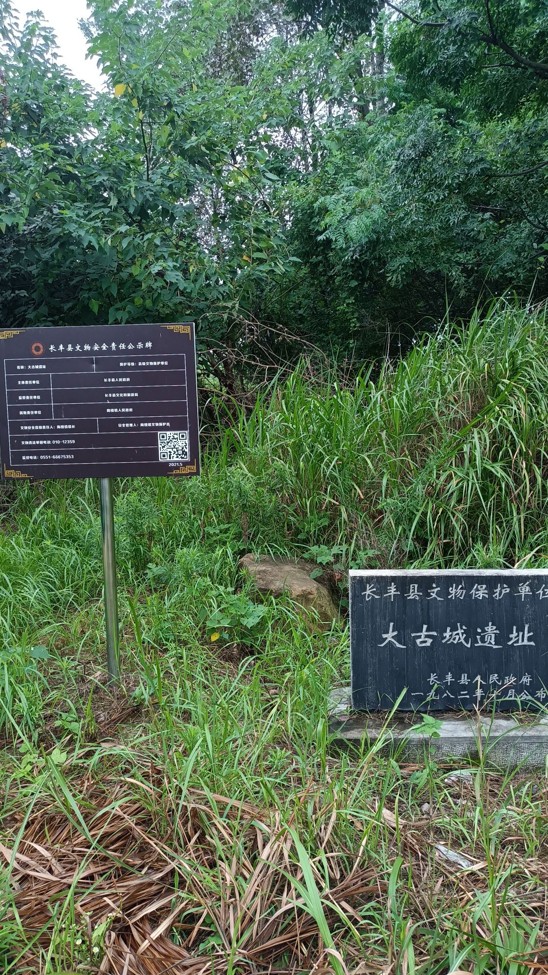 大古城遗址旅行图片 2