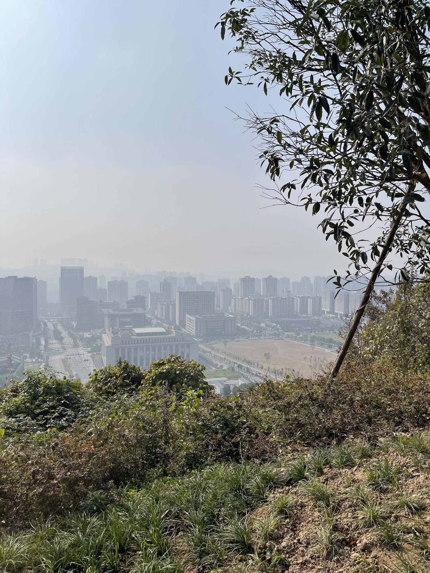 鹿山公园旅行图片 1