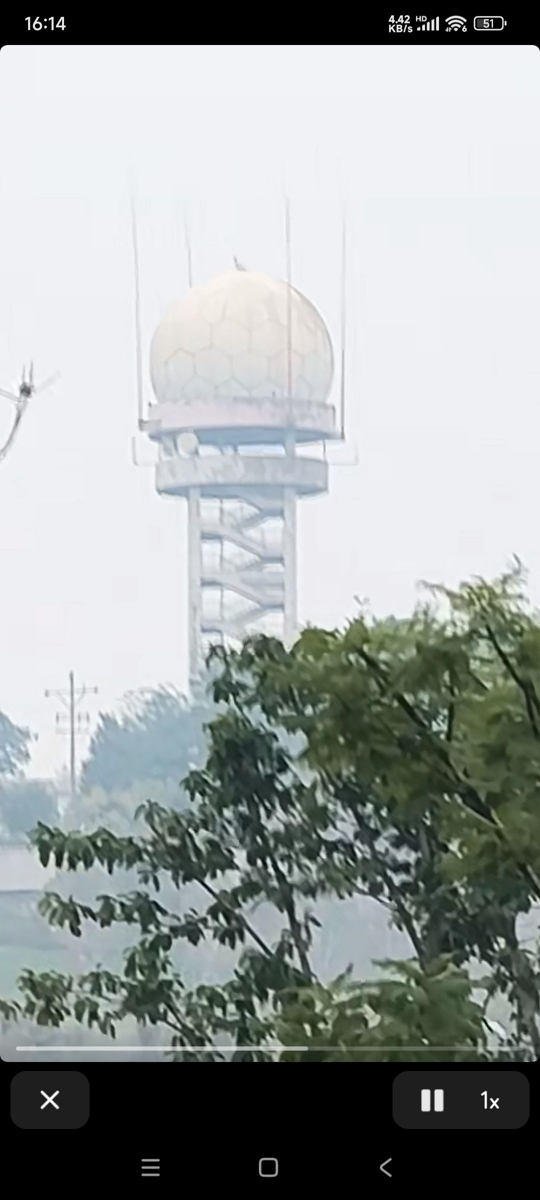 鹿山公园旅行图片 1
