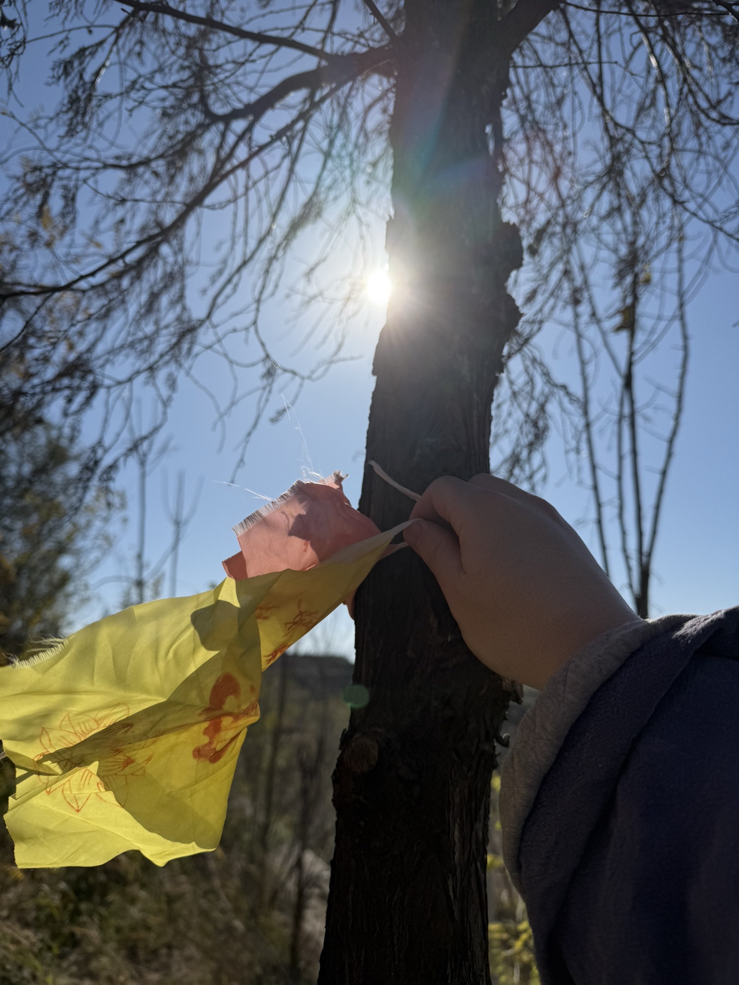 凤形寺旅行图片 1