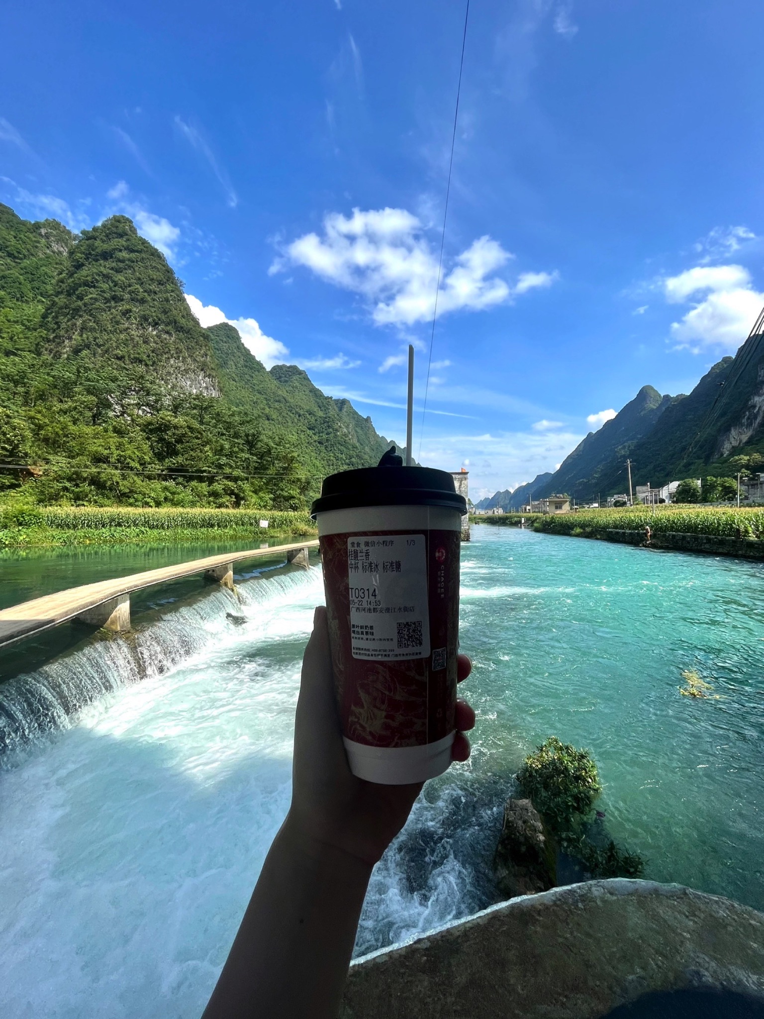 九顿六娘海菜花观景桥旅行图片 1