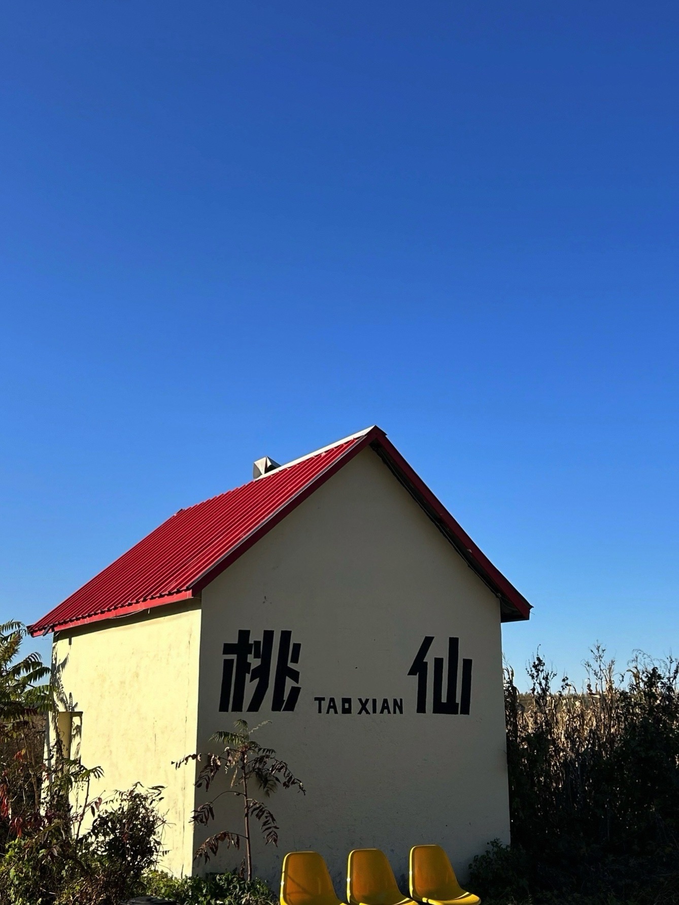 桃仙网红墙旅行图片 2