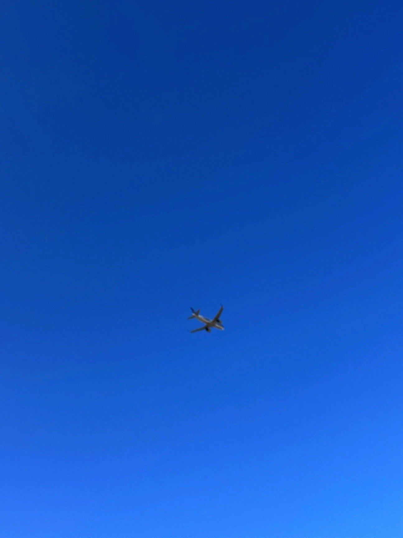桃仙网红墙旅行图片 3