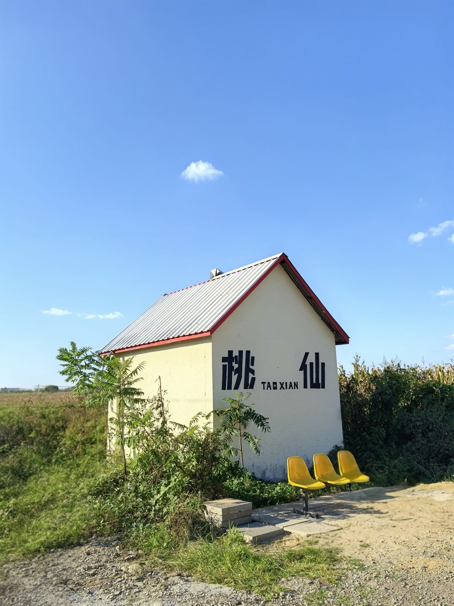 桃仙网红墙旅行图片 1