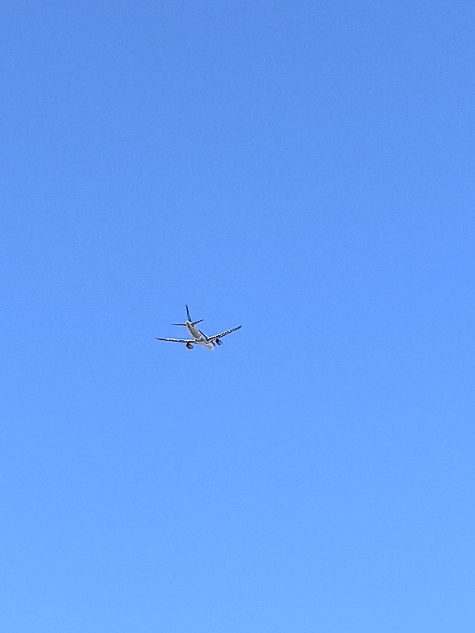 桃仙网红墙旅行图片 2