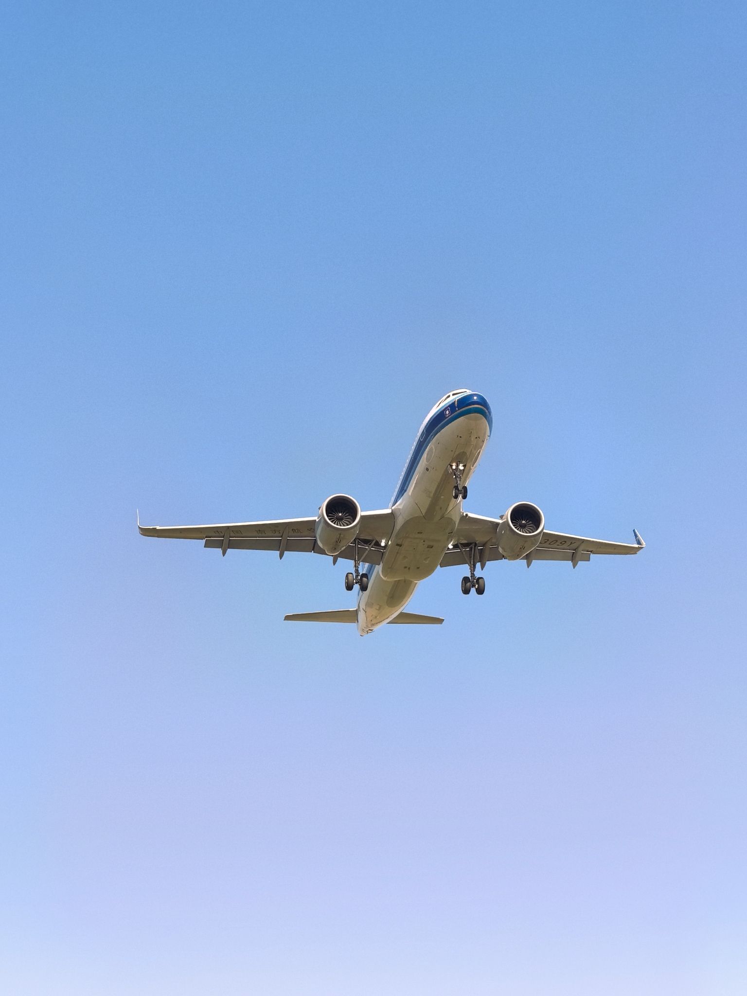 桃仙网红墙旅行图片 3