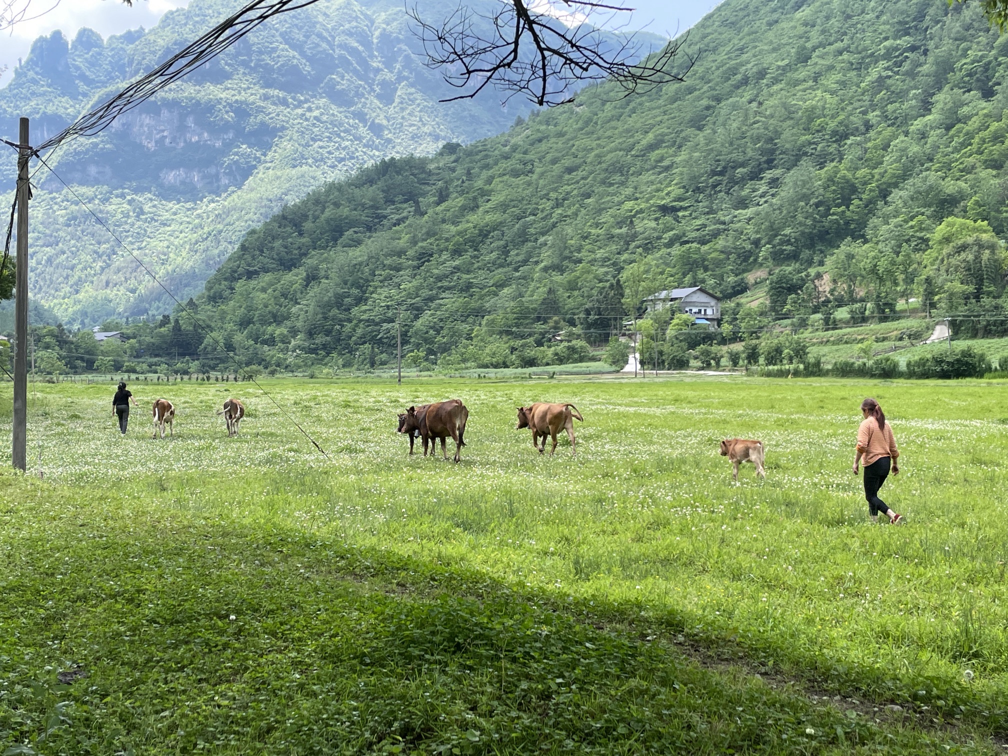 让水坝草原旅行图片 3