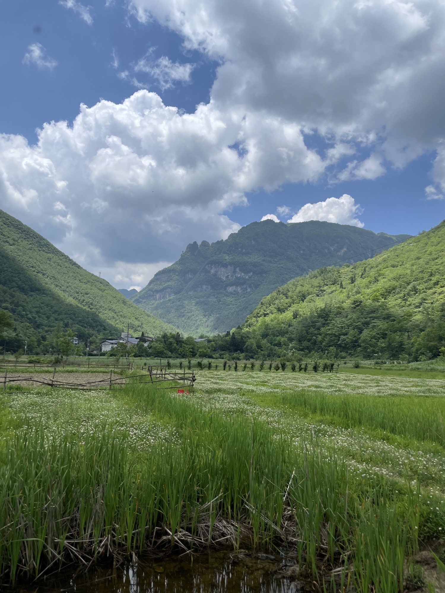 让水坝草原旅行图片 2