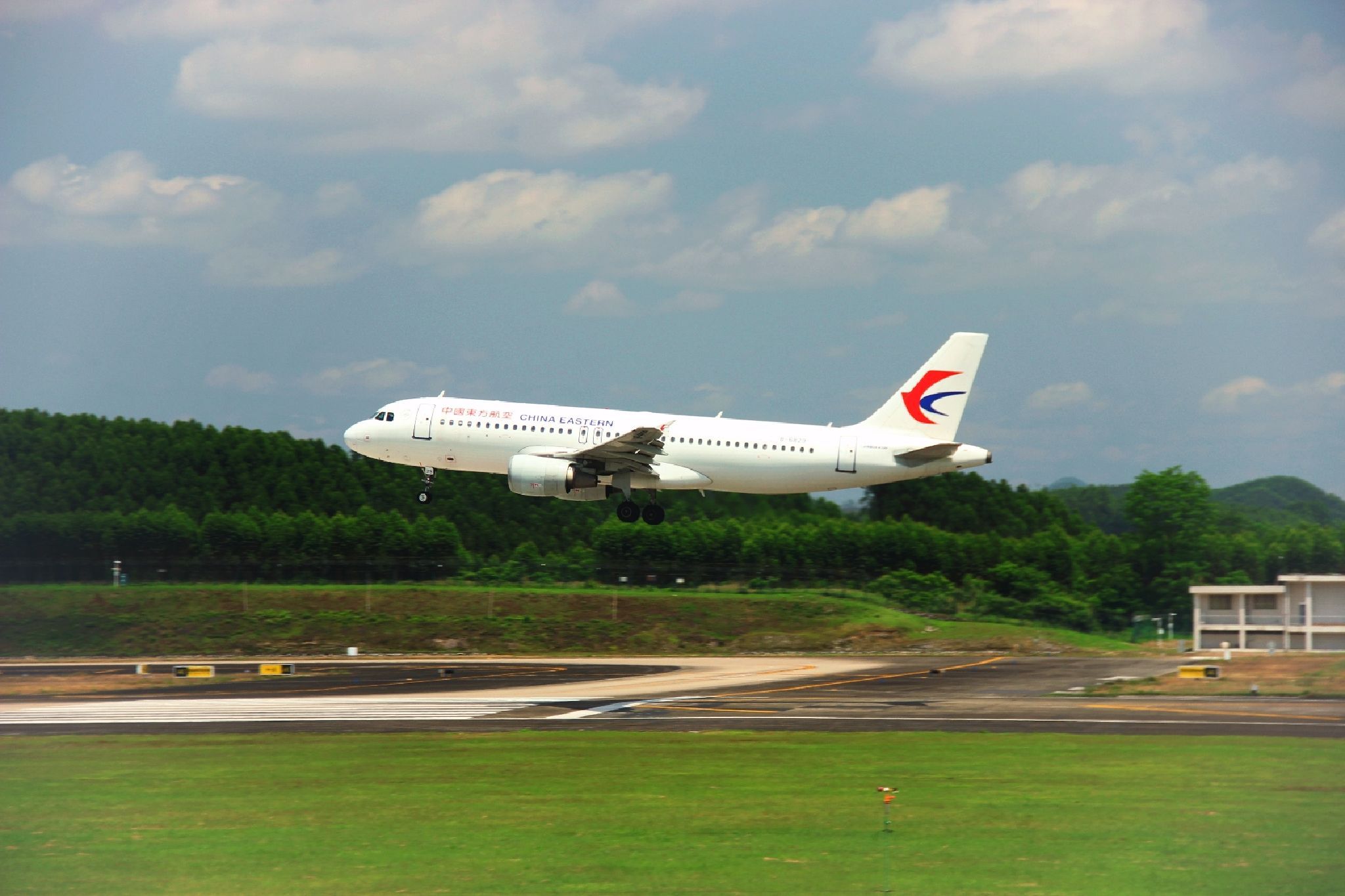 空港花田旅行图片 3