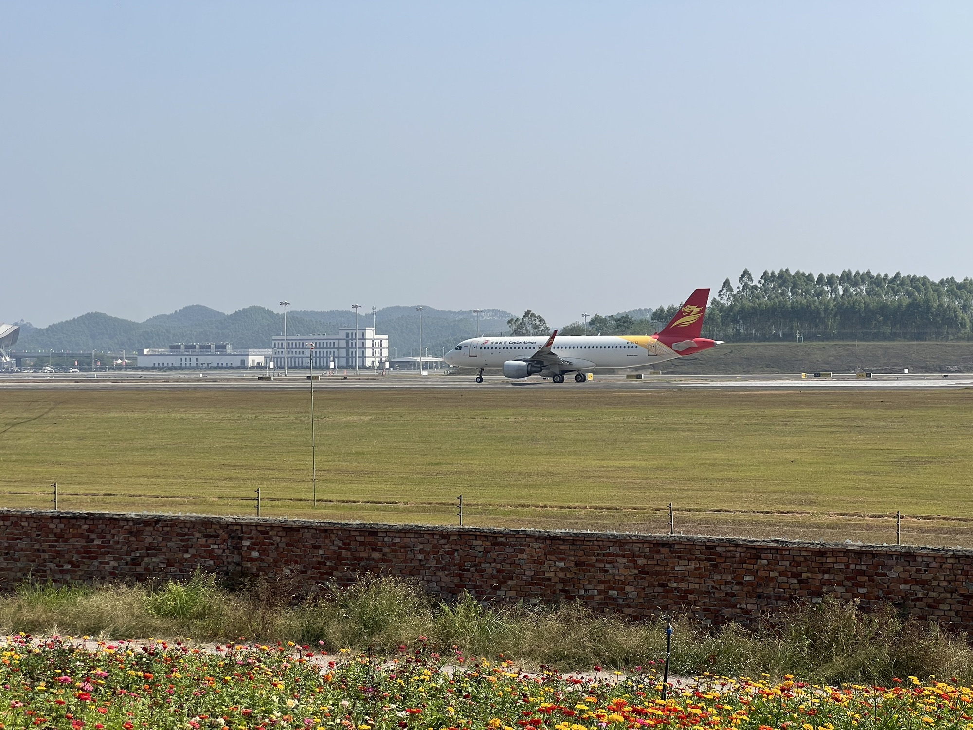 空港花田旅行图片 1