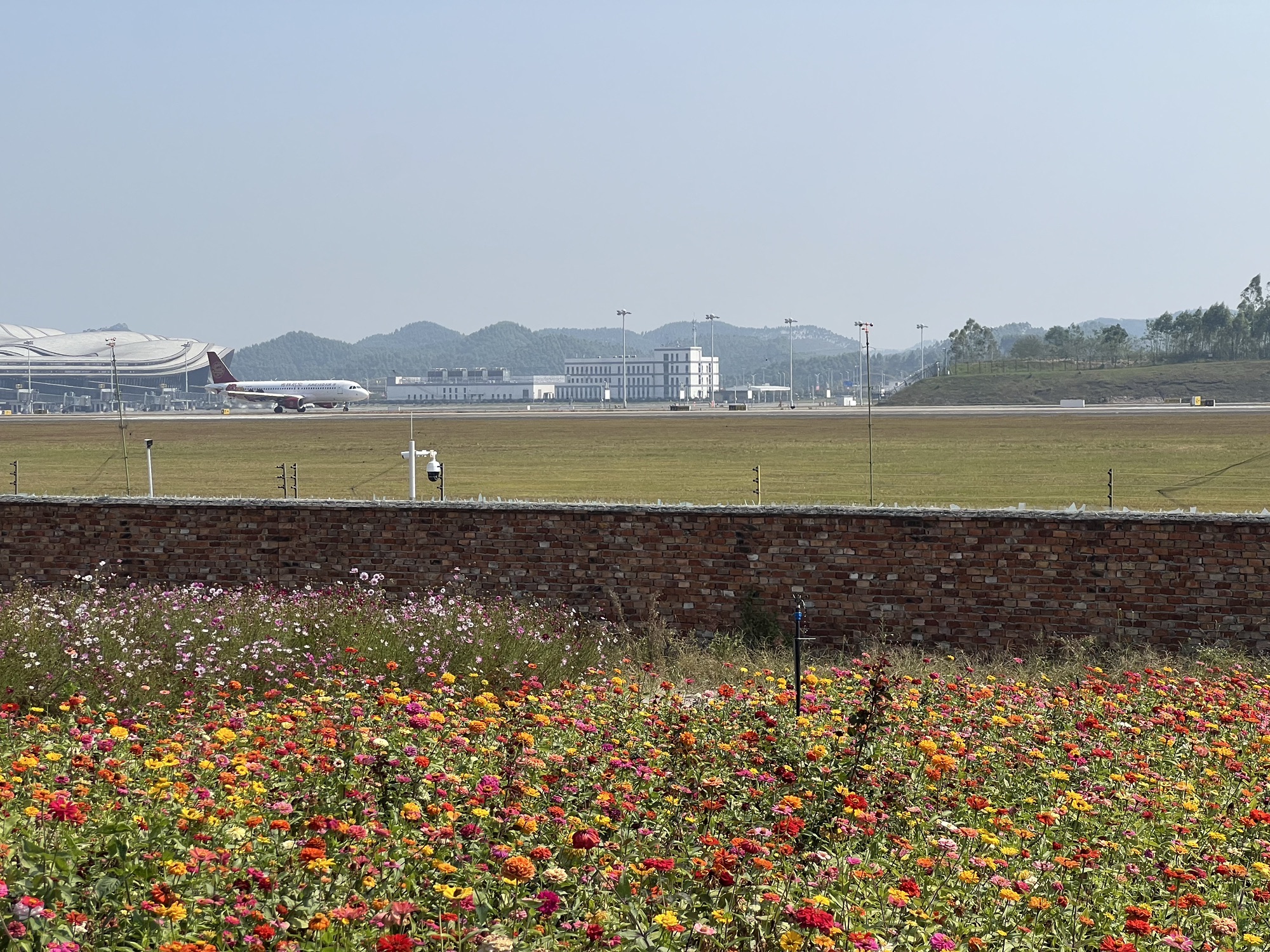 空港花田旅行图片 2