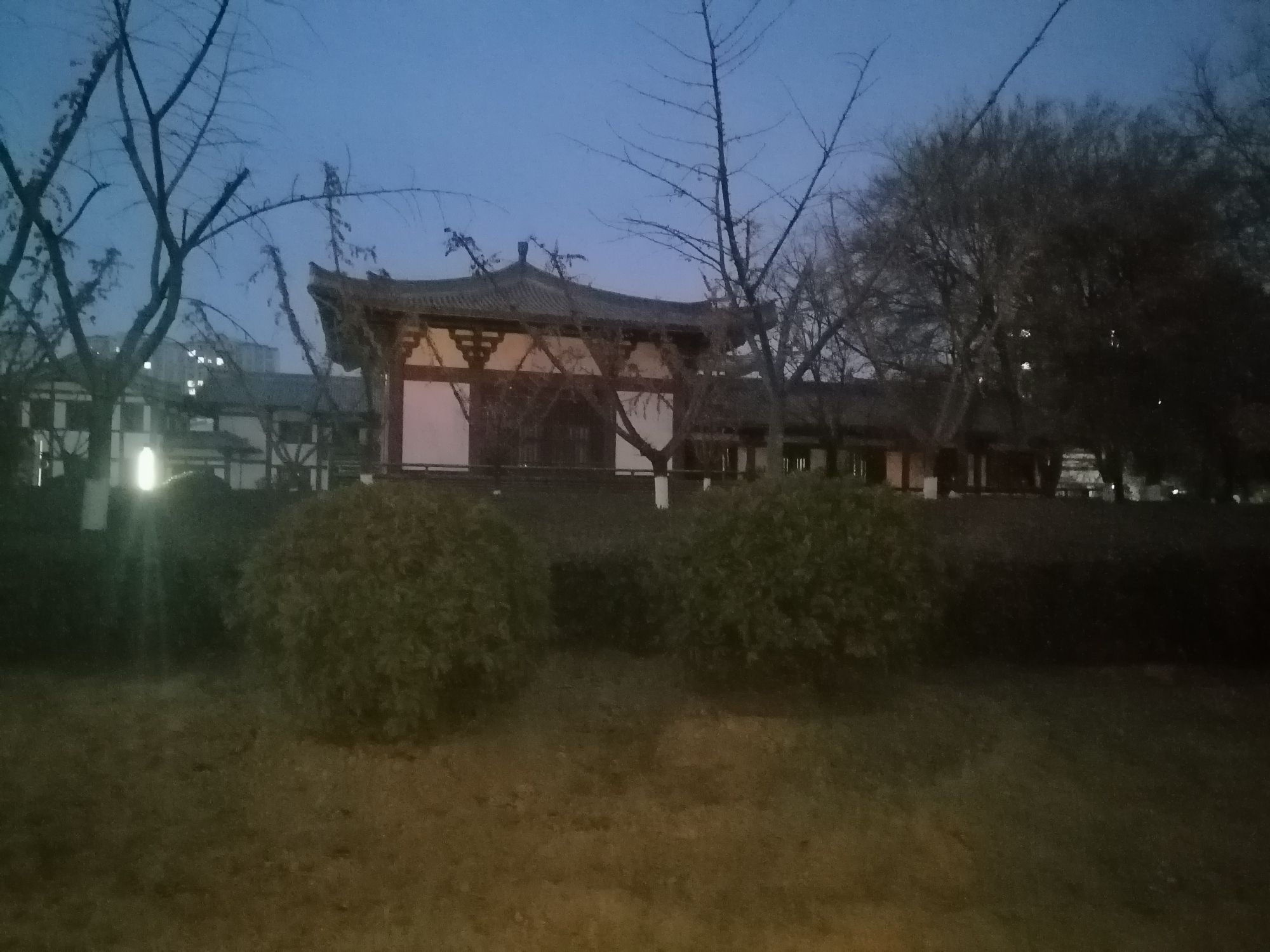 泗县运河森林公园旅行图片 3
