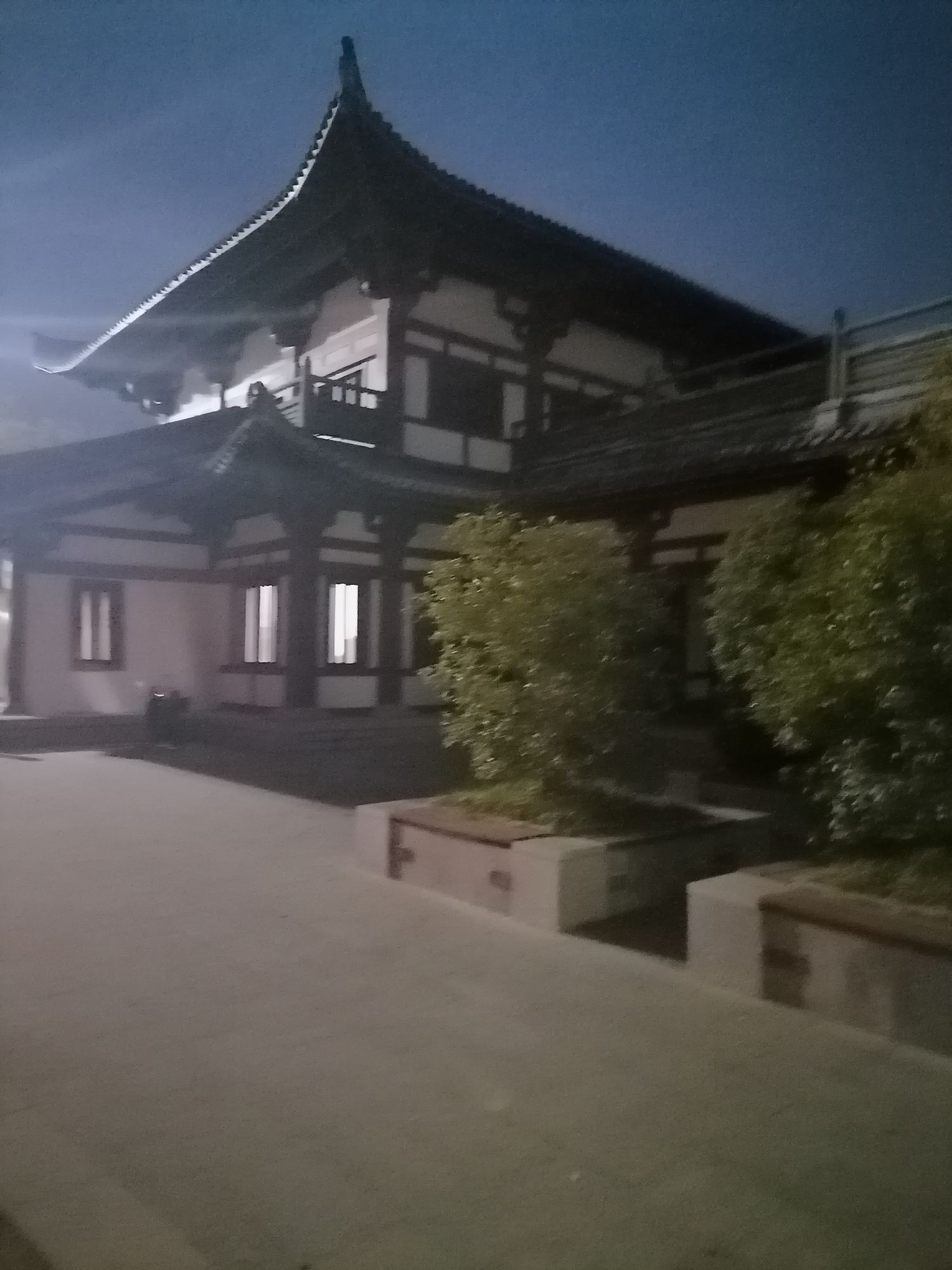 泗县运河森林公园旅行图片 2