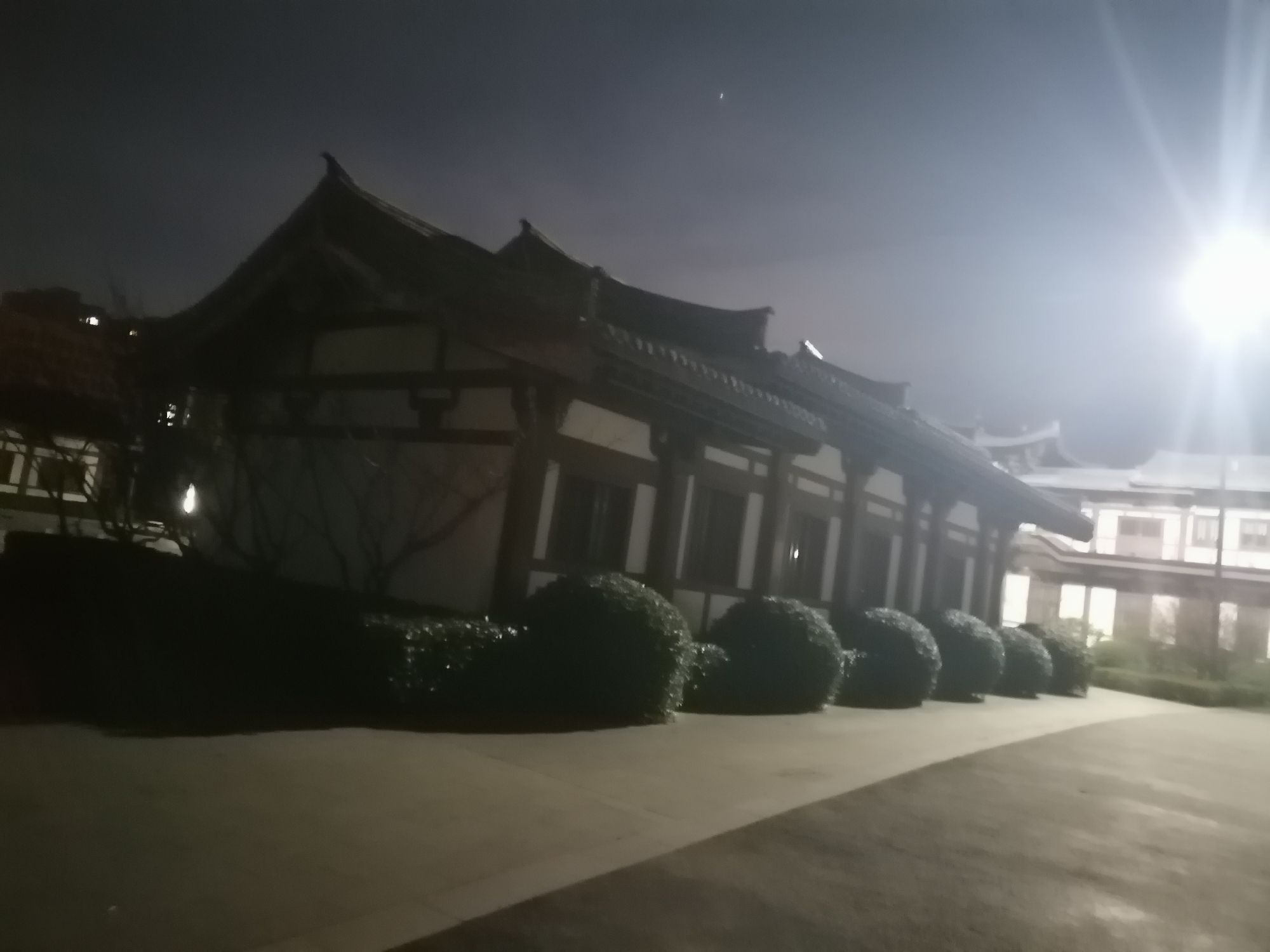 泗县运河森林公园旅行图片 1