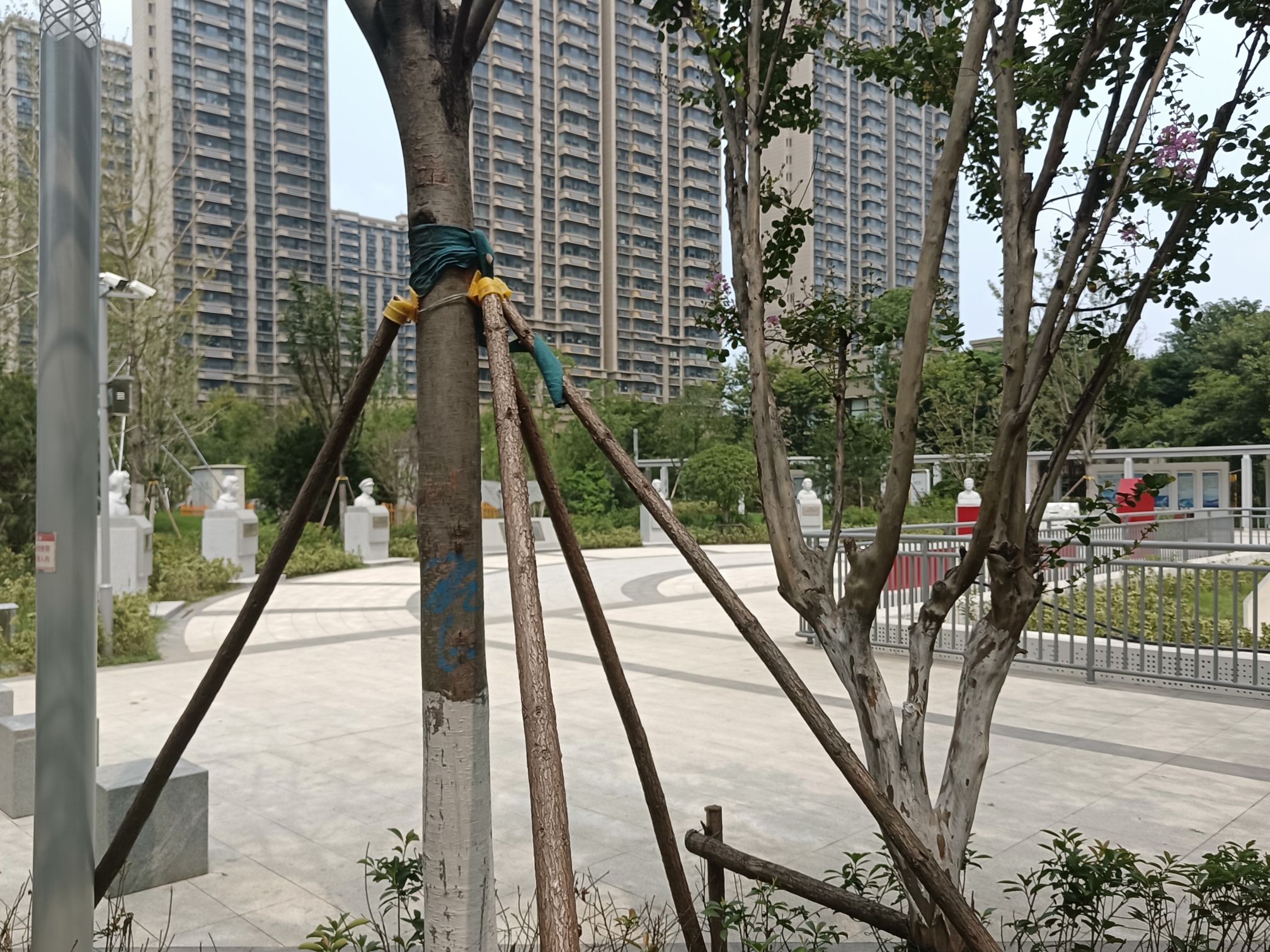 济南机场文化公园旅行图片 3