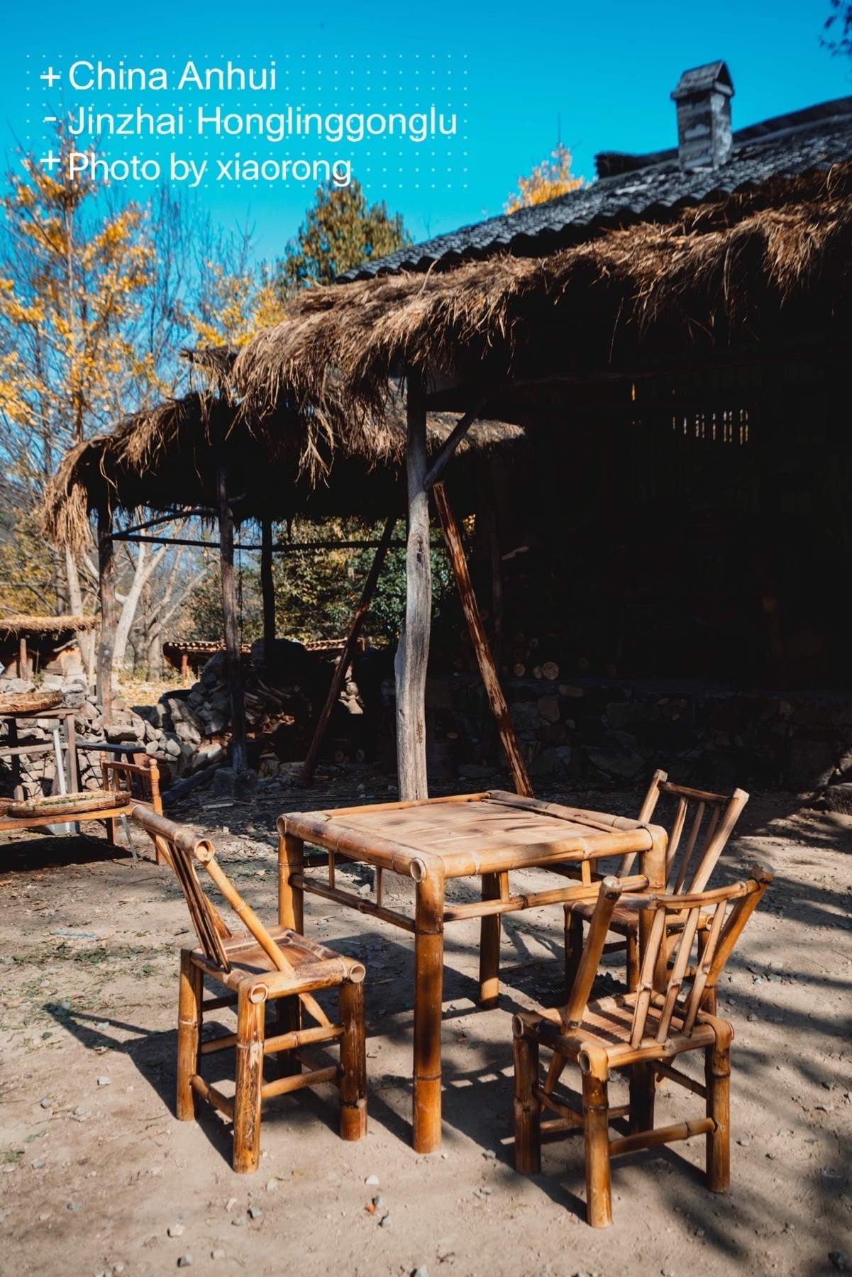 六安西茶谷主题公园旅行图片 3