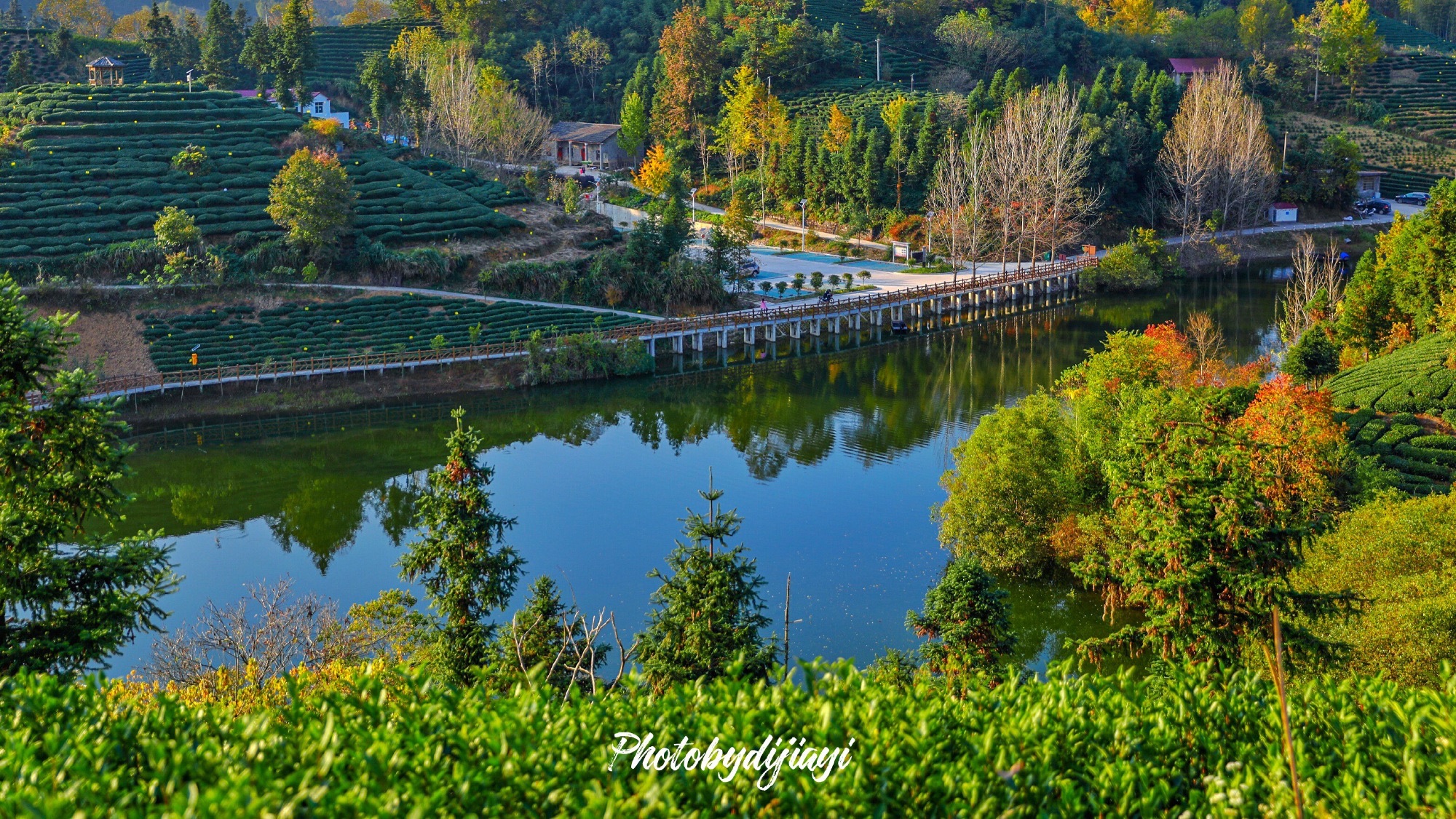 六安西茶谷主题公园旅行图片 2