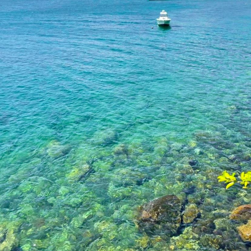 海贝湾沙滩旅行图片 2