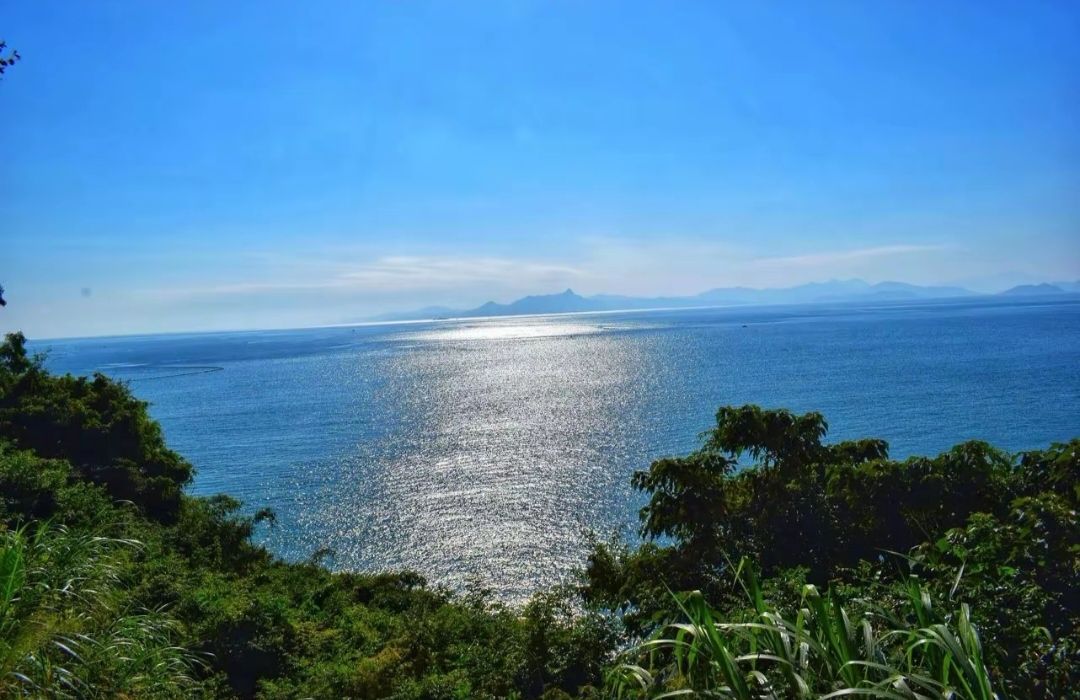 海贝湾沙滩旅行图片 3