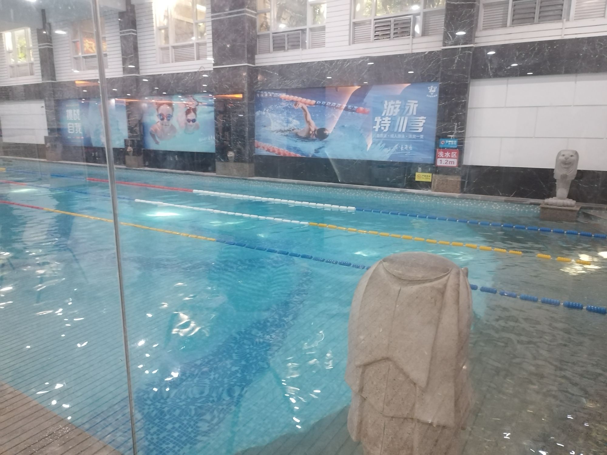 乐享游泳健身