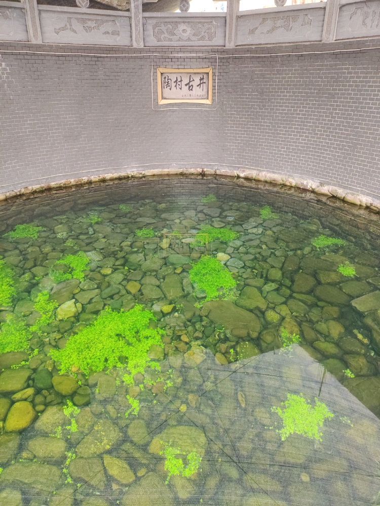 陶村古井旅行图片 2