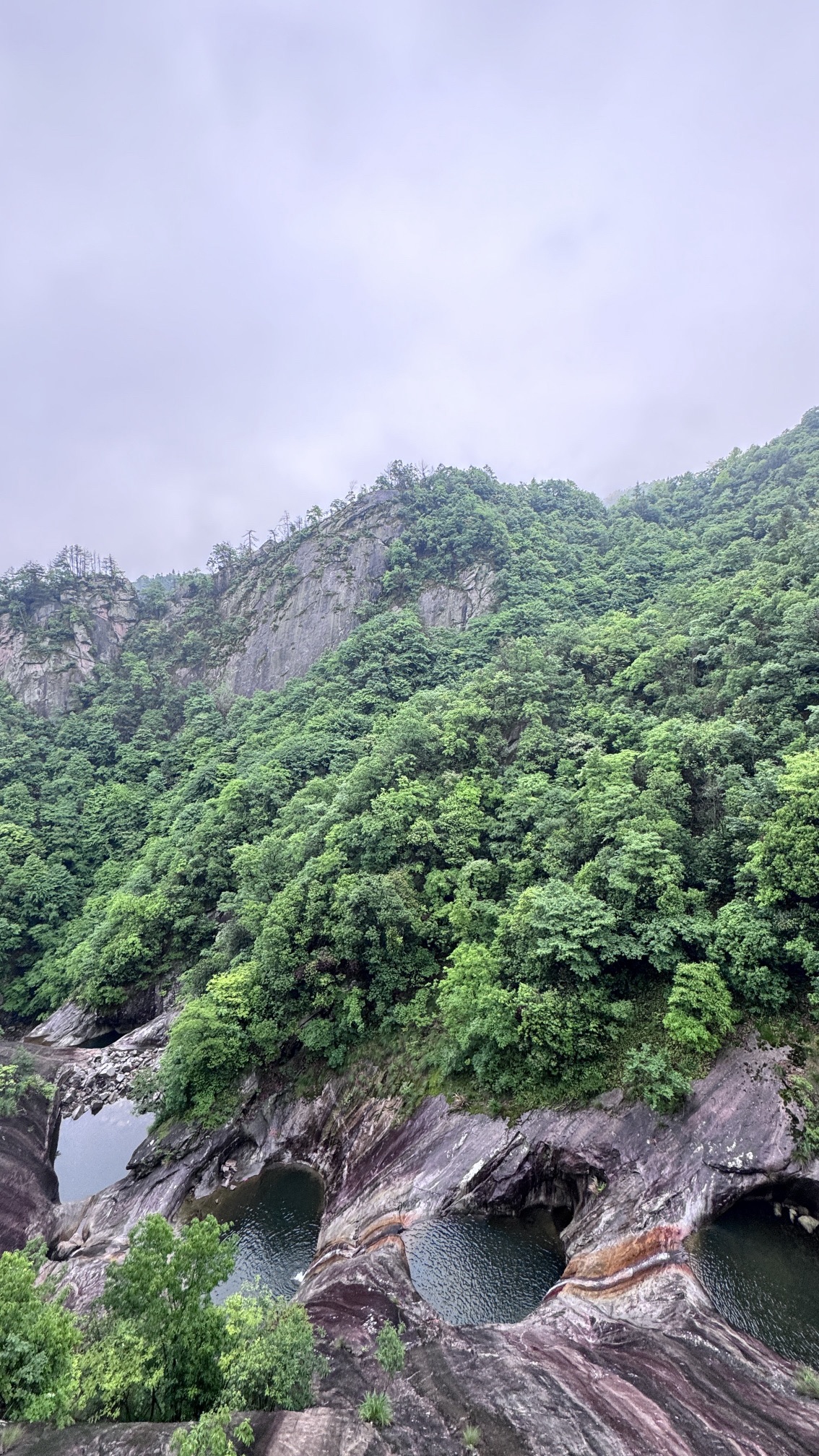 九龙井景区旅行图片 3