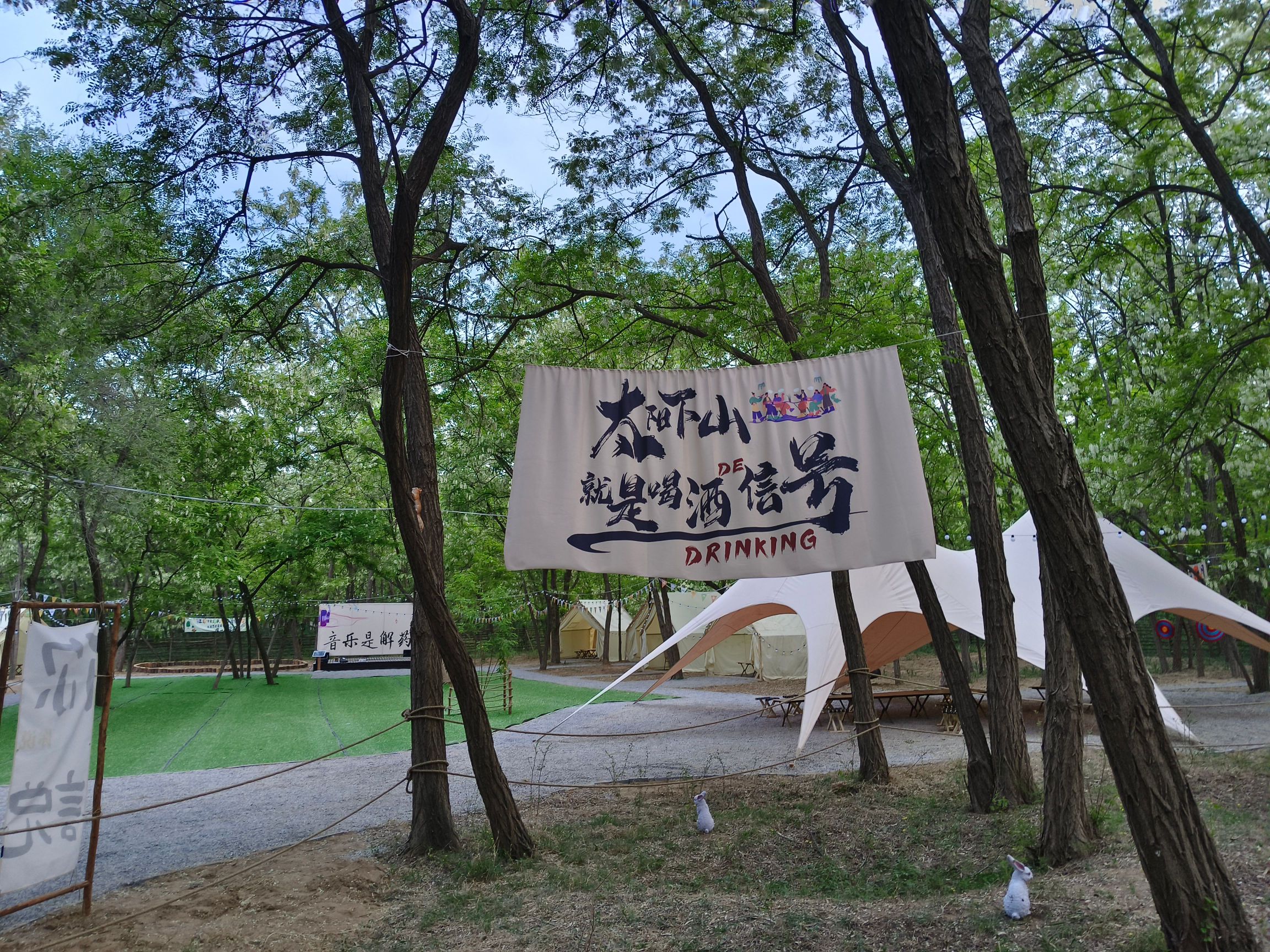鸵鸟孔雀园旅行图片 2