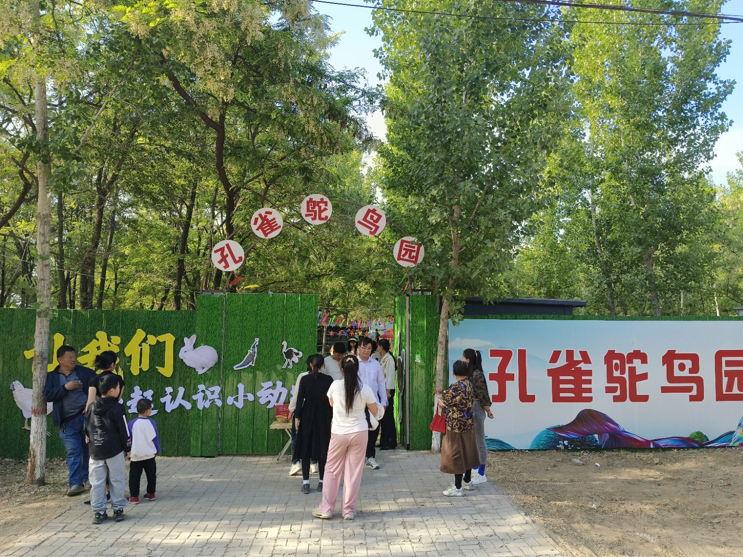 鸵鸟孔雀园旅行图片 1