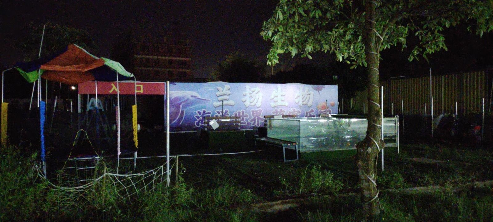 兰扬海洋馆旅行图片 1