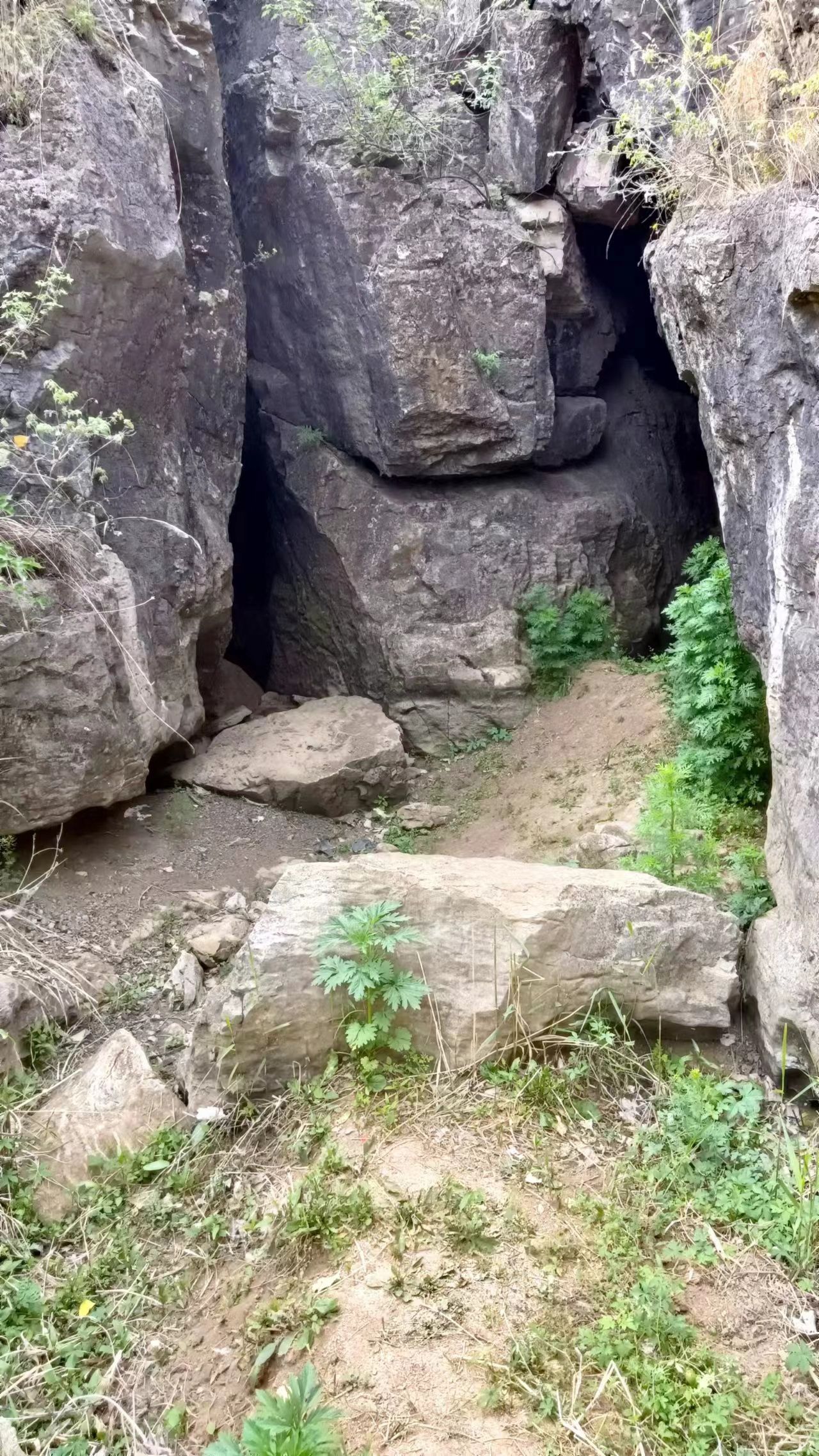 虎狐洞旅行图片 1
