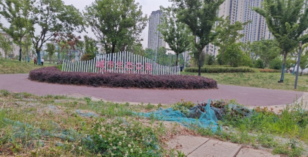 杜康城市生态公园