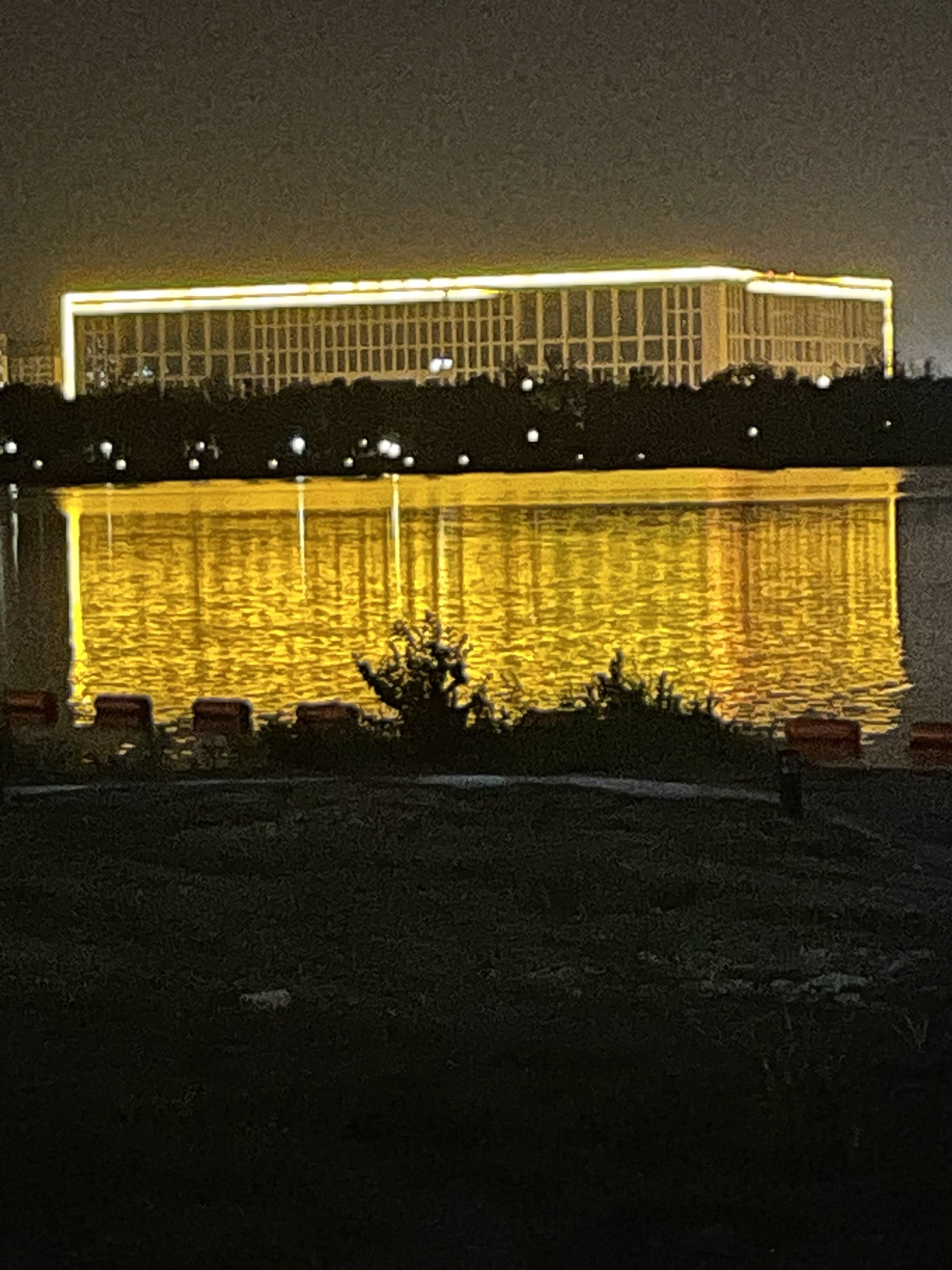 少荃湖沙滩旅行图片 1
