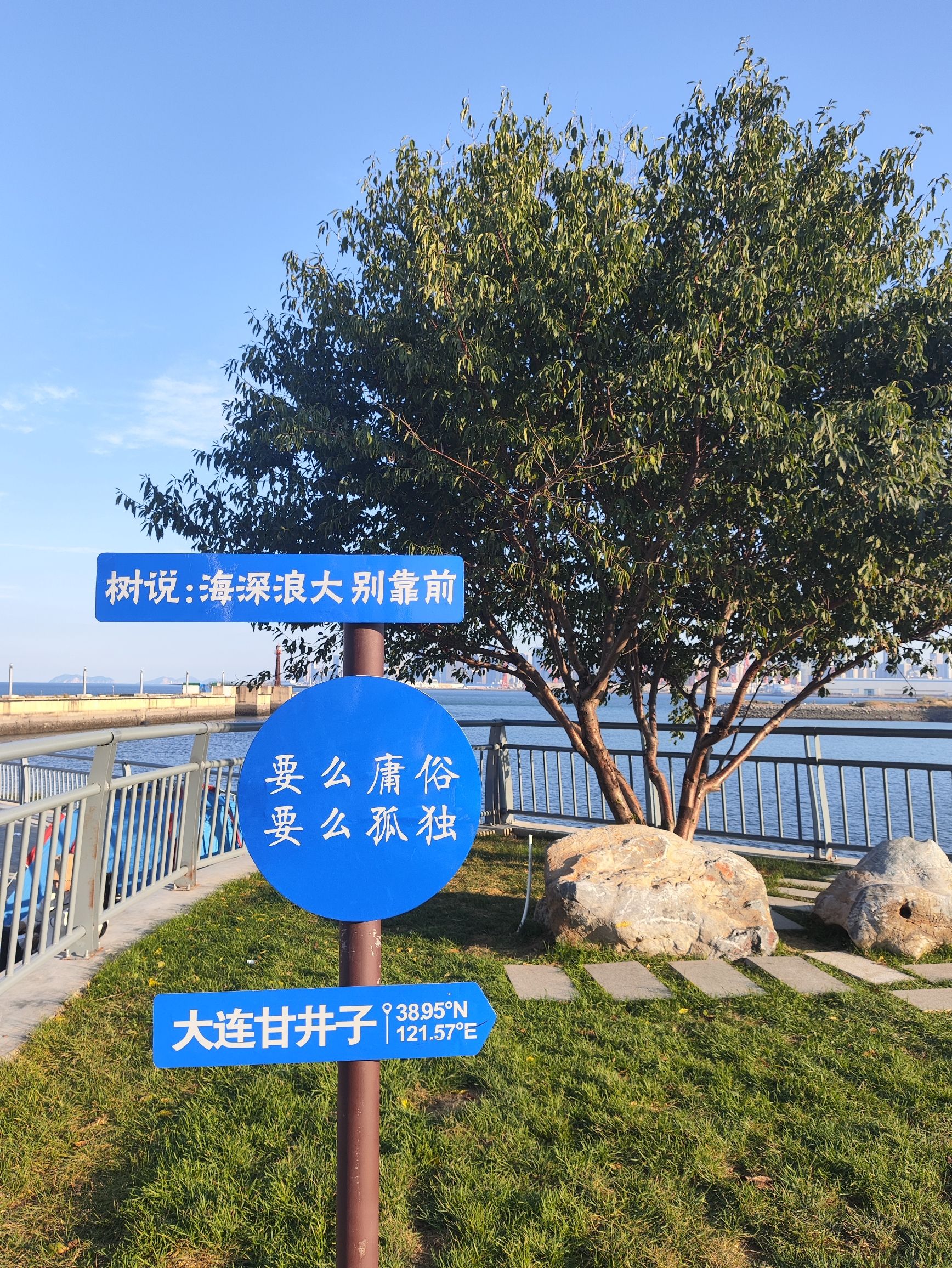 孤独的树景区旅行图片 1