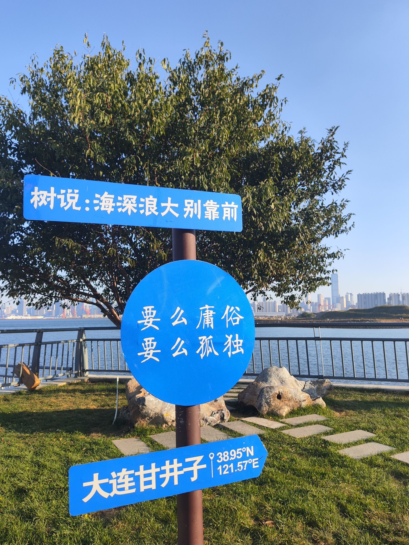 孤独的树景区旅行图片 2