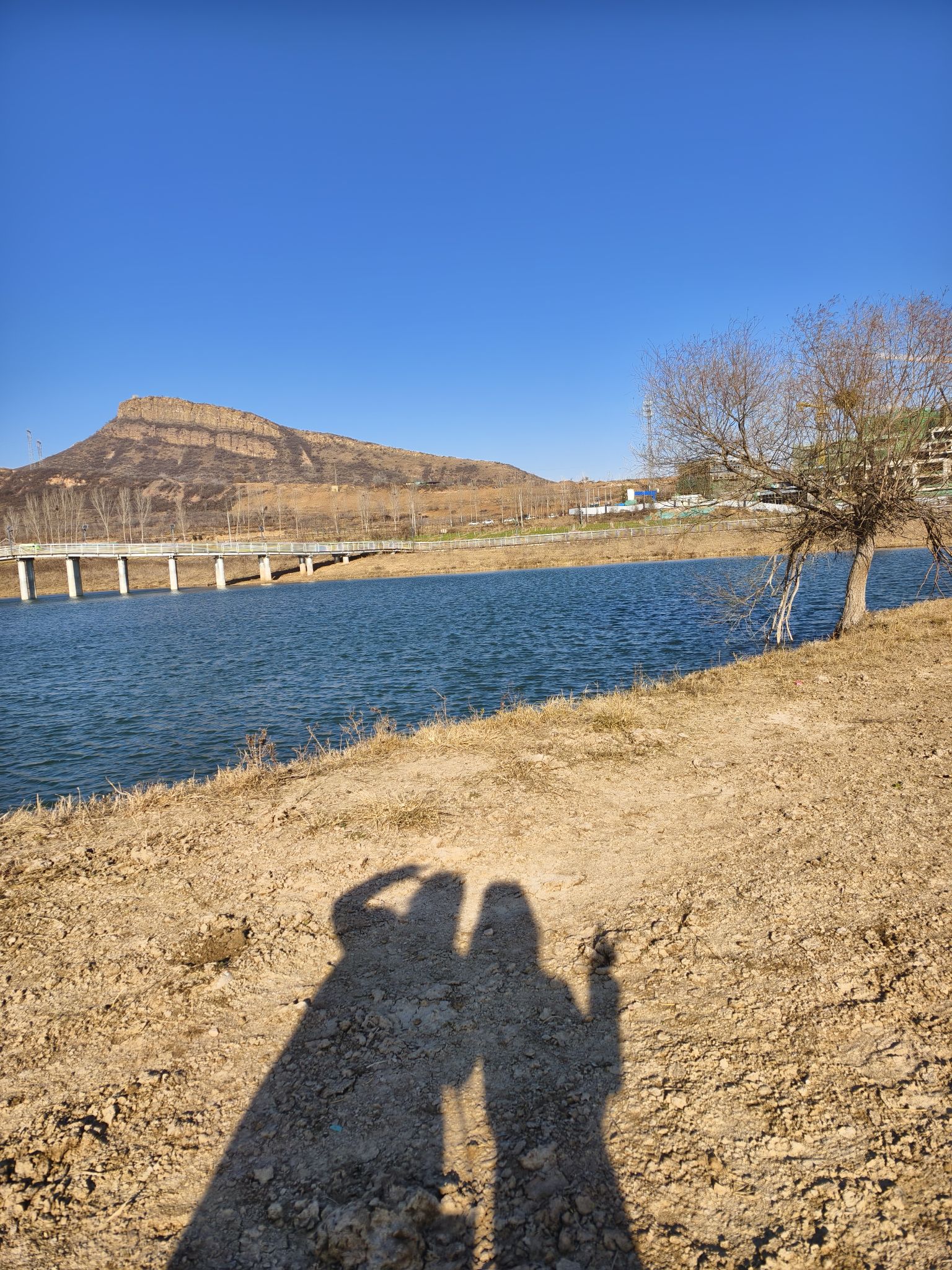 蟠龙湖·欢乐汇生态康养旅游度假区旅行图片 2