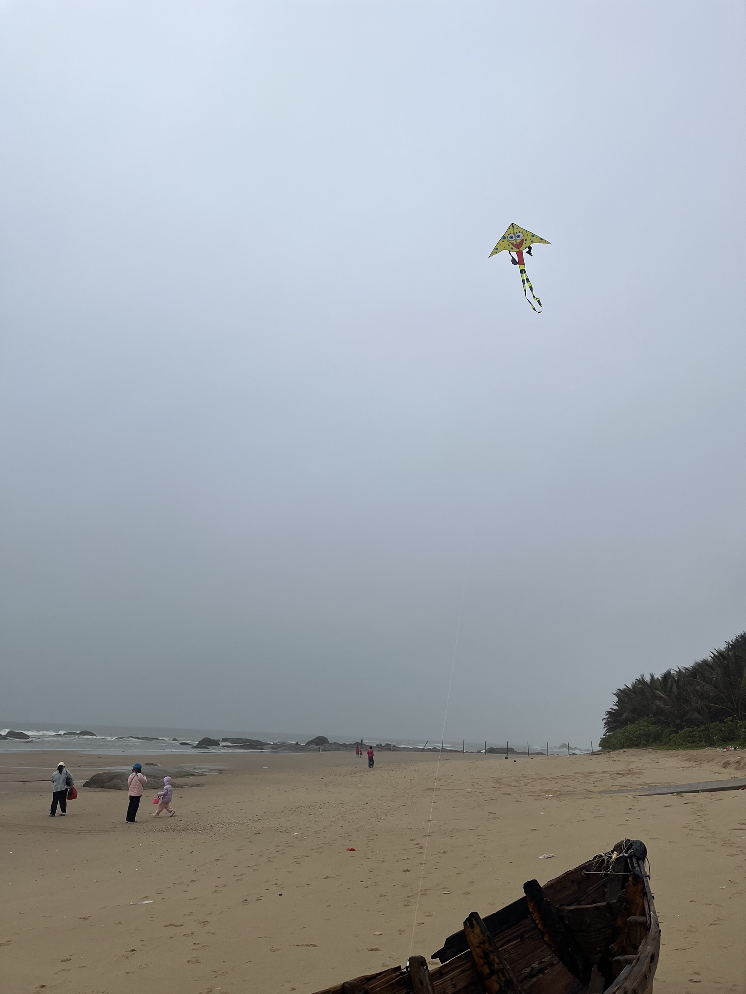 鼎龙湾礁石海滩旅行图片 3
