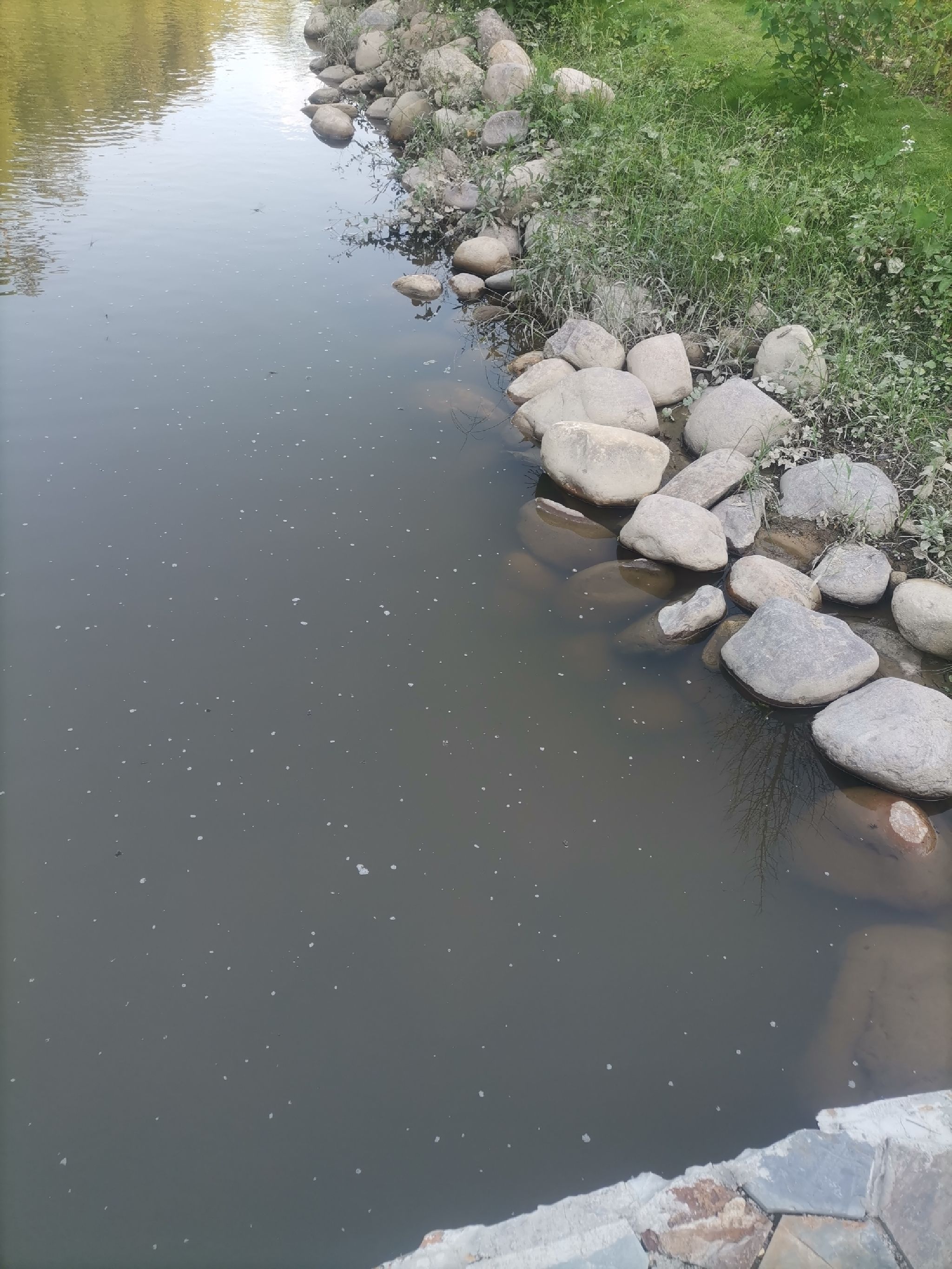 鉴江源湿地公园旅行图片 1