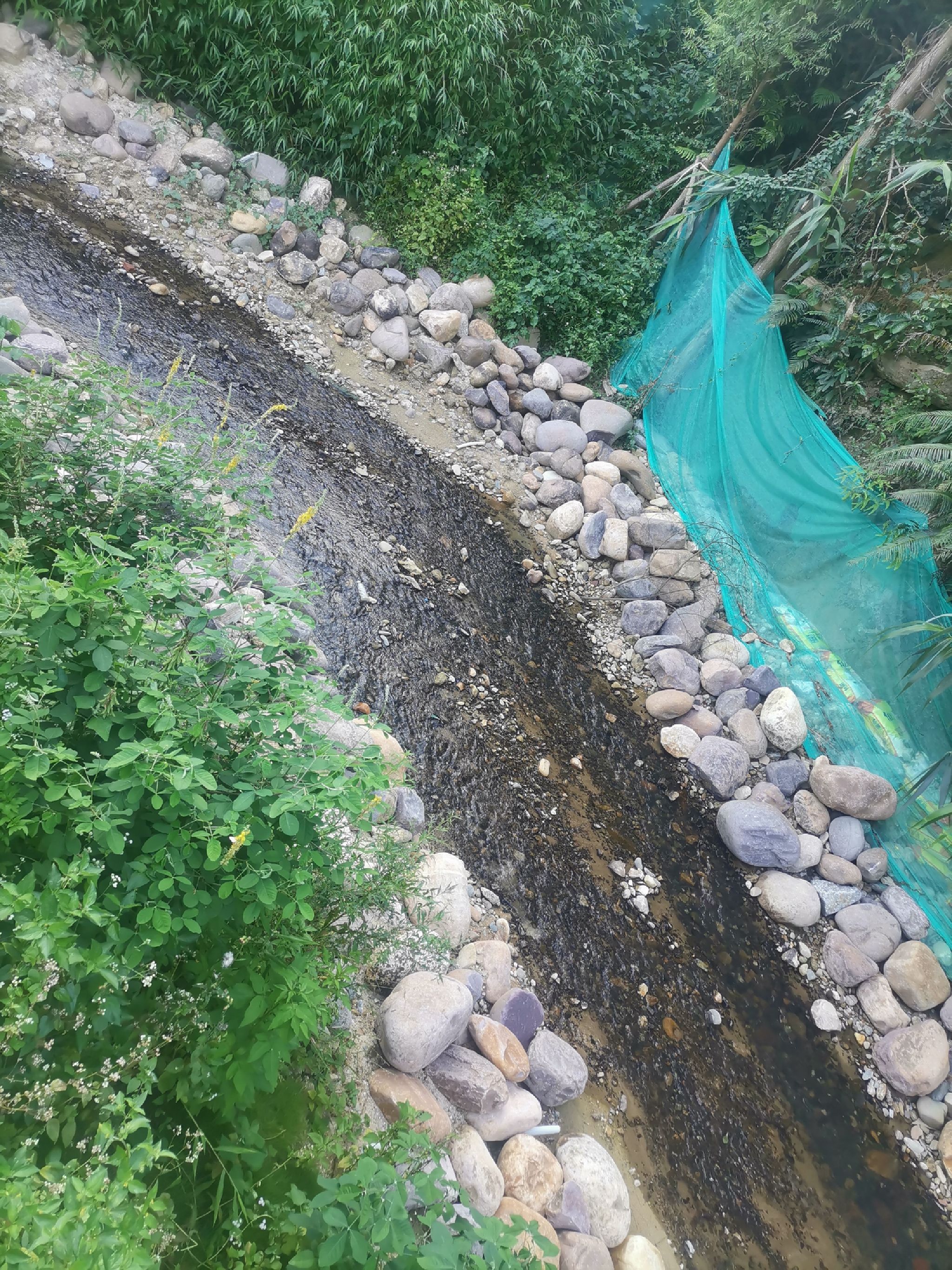 鉴江源湿地公园旅行图片 3