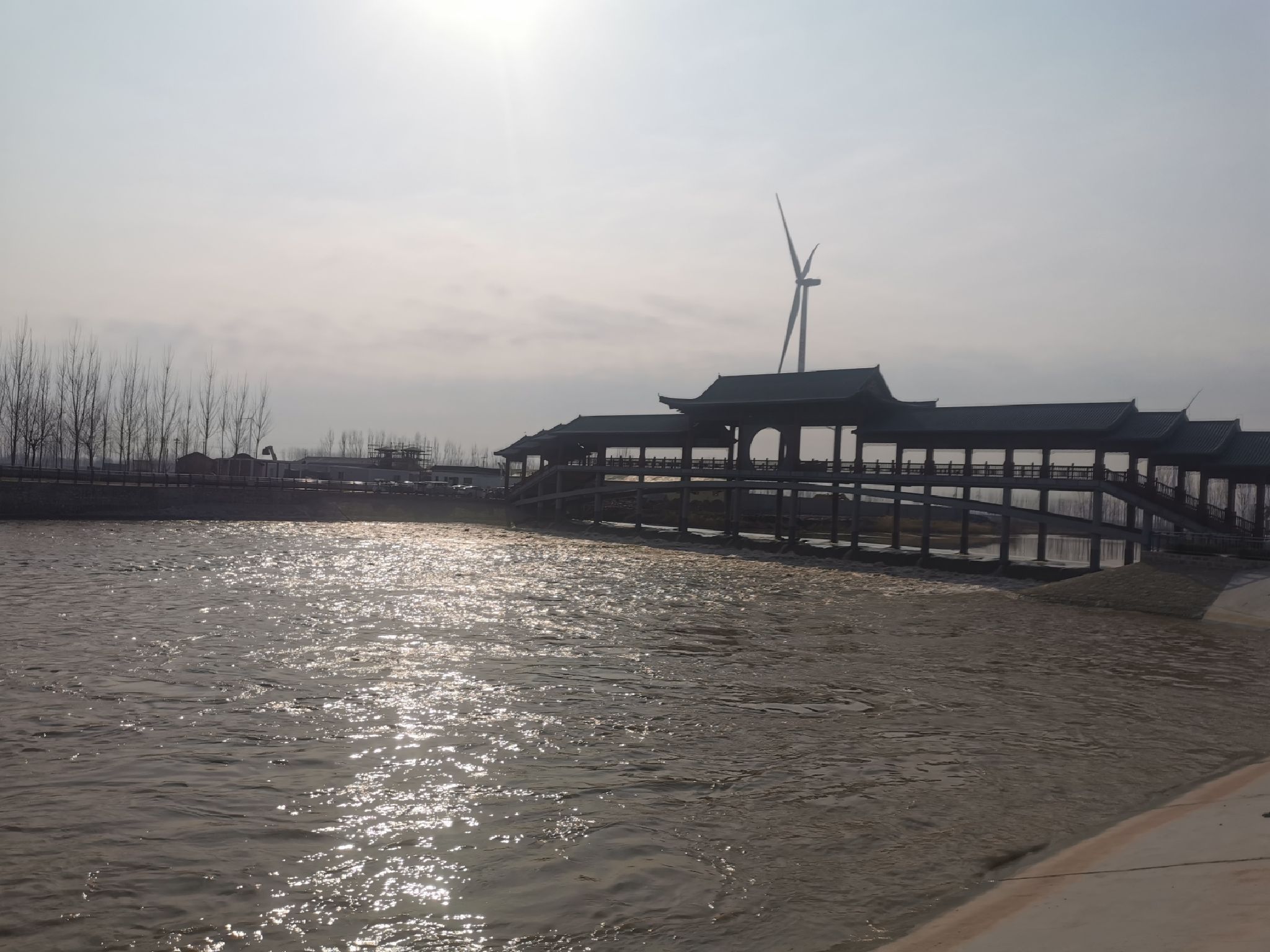 平原网红桥旅行图片 1