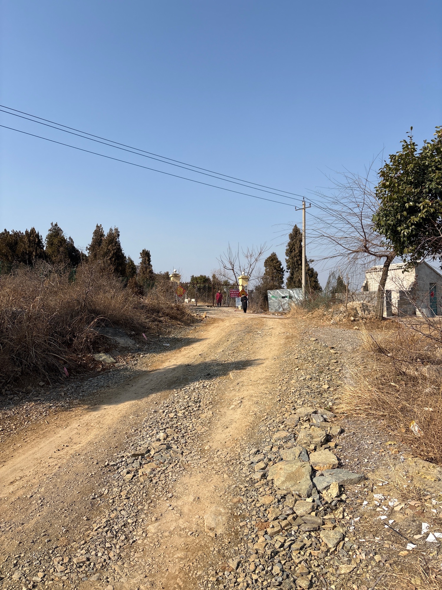 玫瑰湖(不对外开放)旅行图片 1