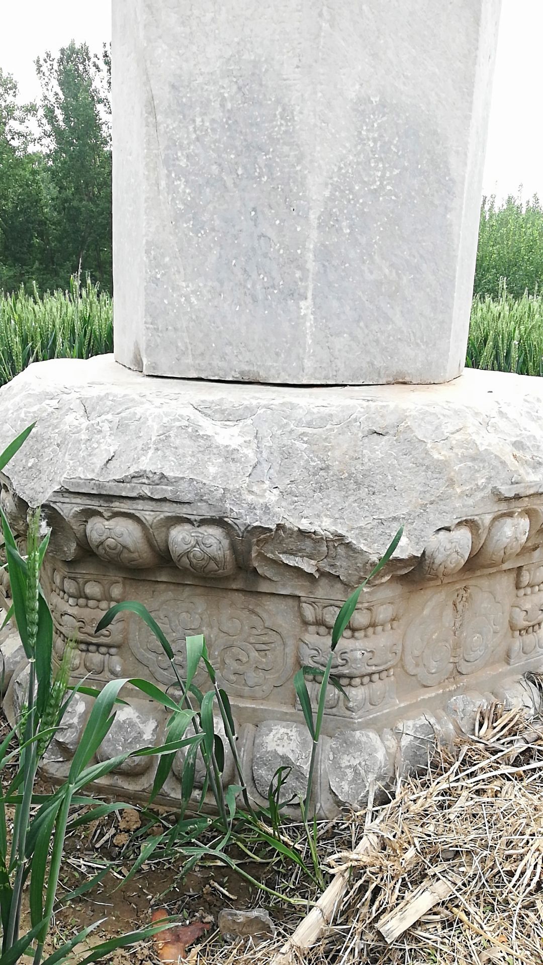 驸马坟旅行图片 3