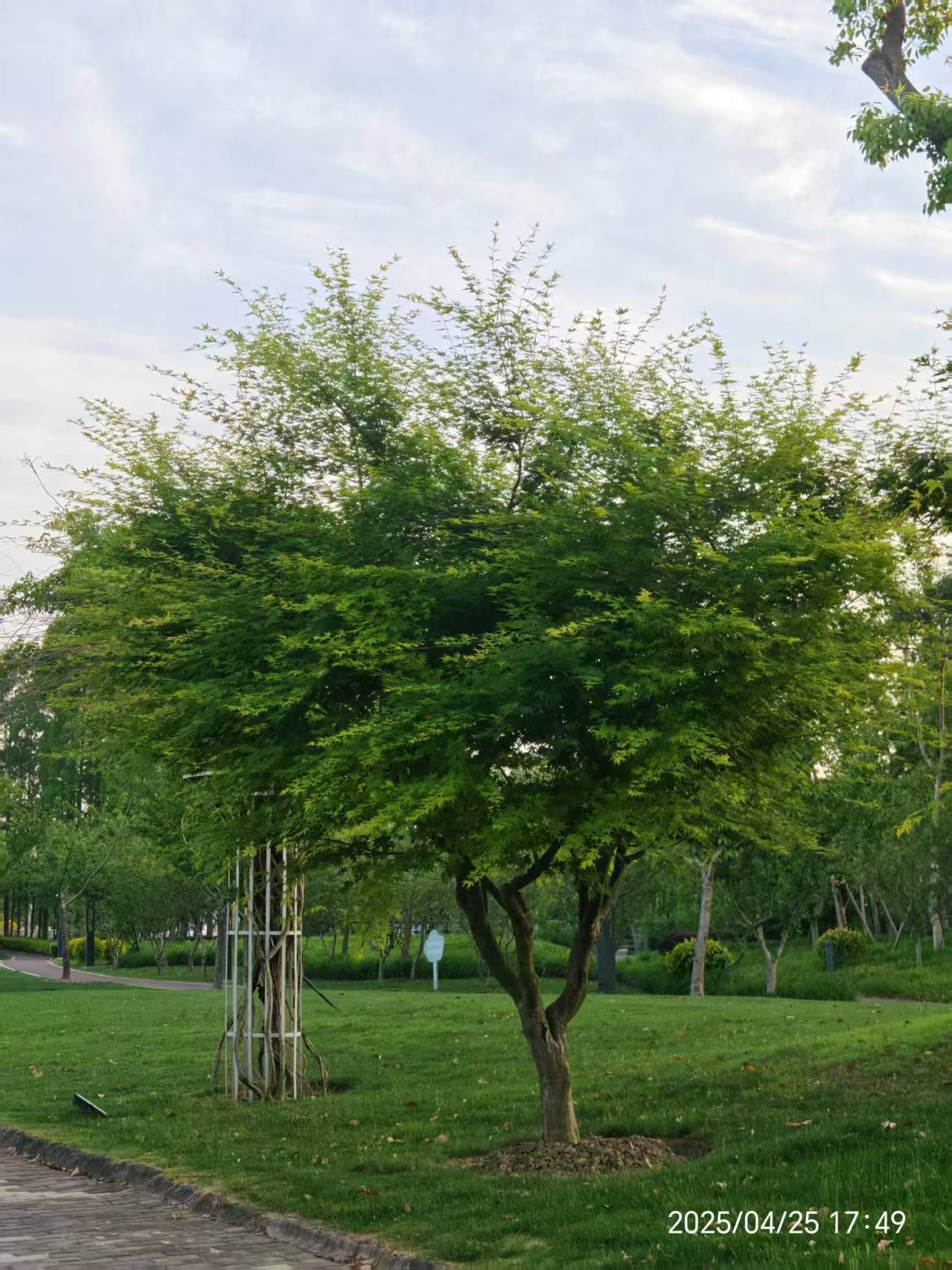 场地封面-麓也营地