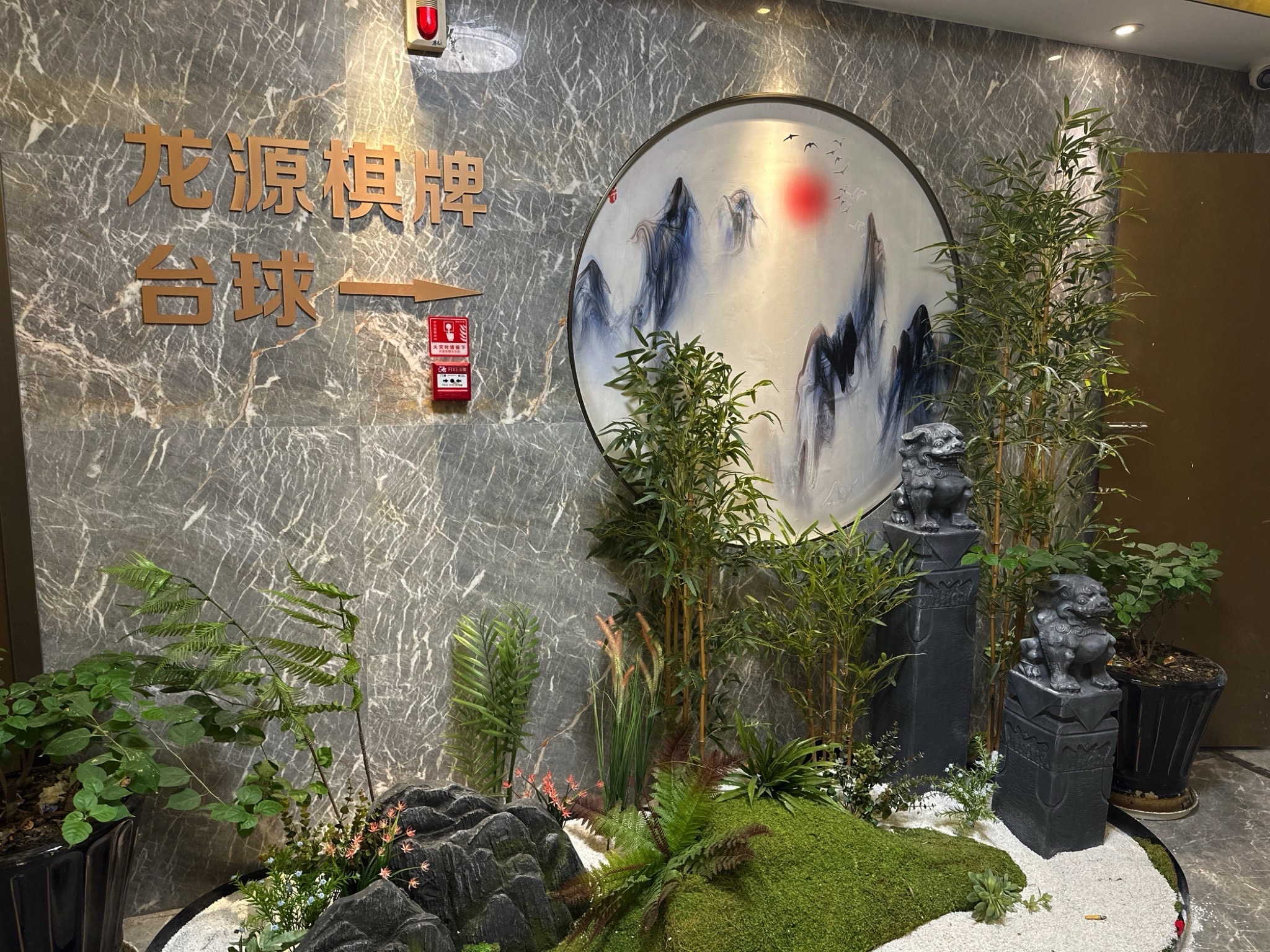 场地封面-龙源棋牌台球