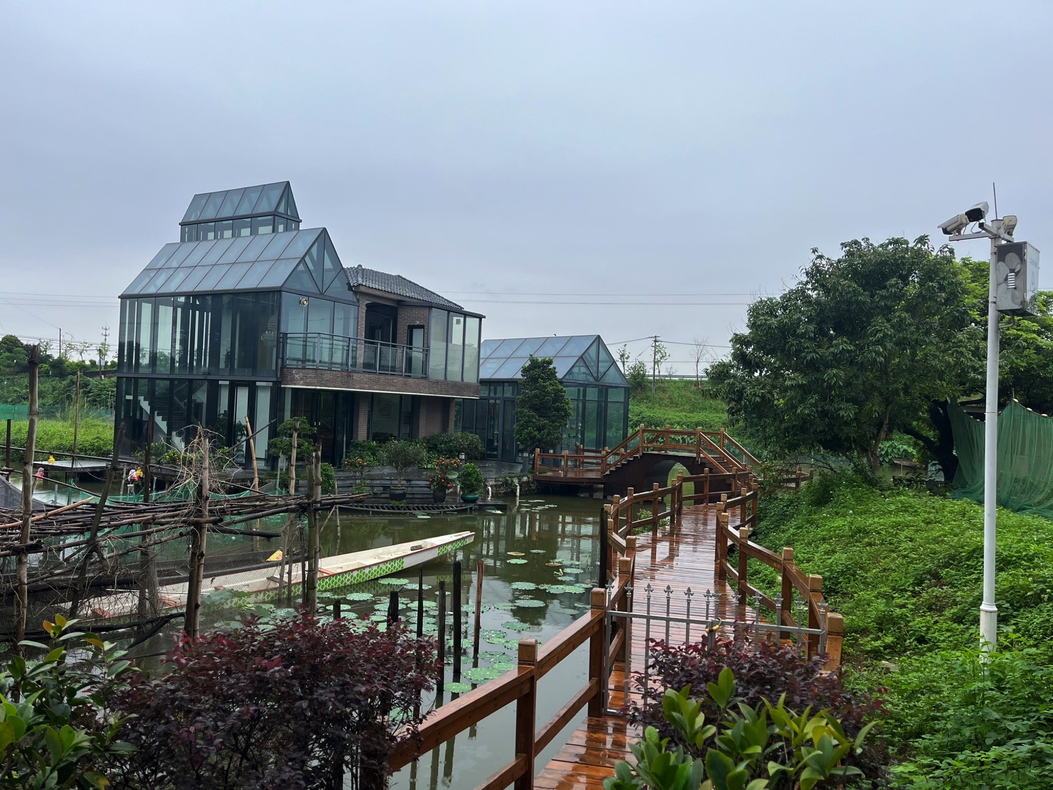 古劳水乡火船岛旅行图片 1