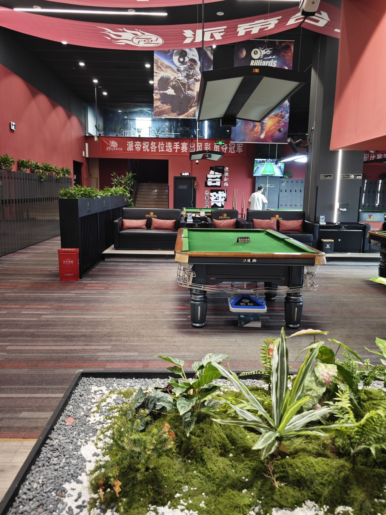 场地封面-派帝台球俱乐部(星河路店)