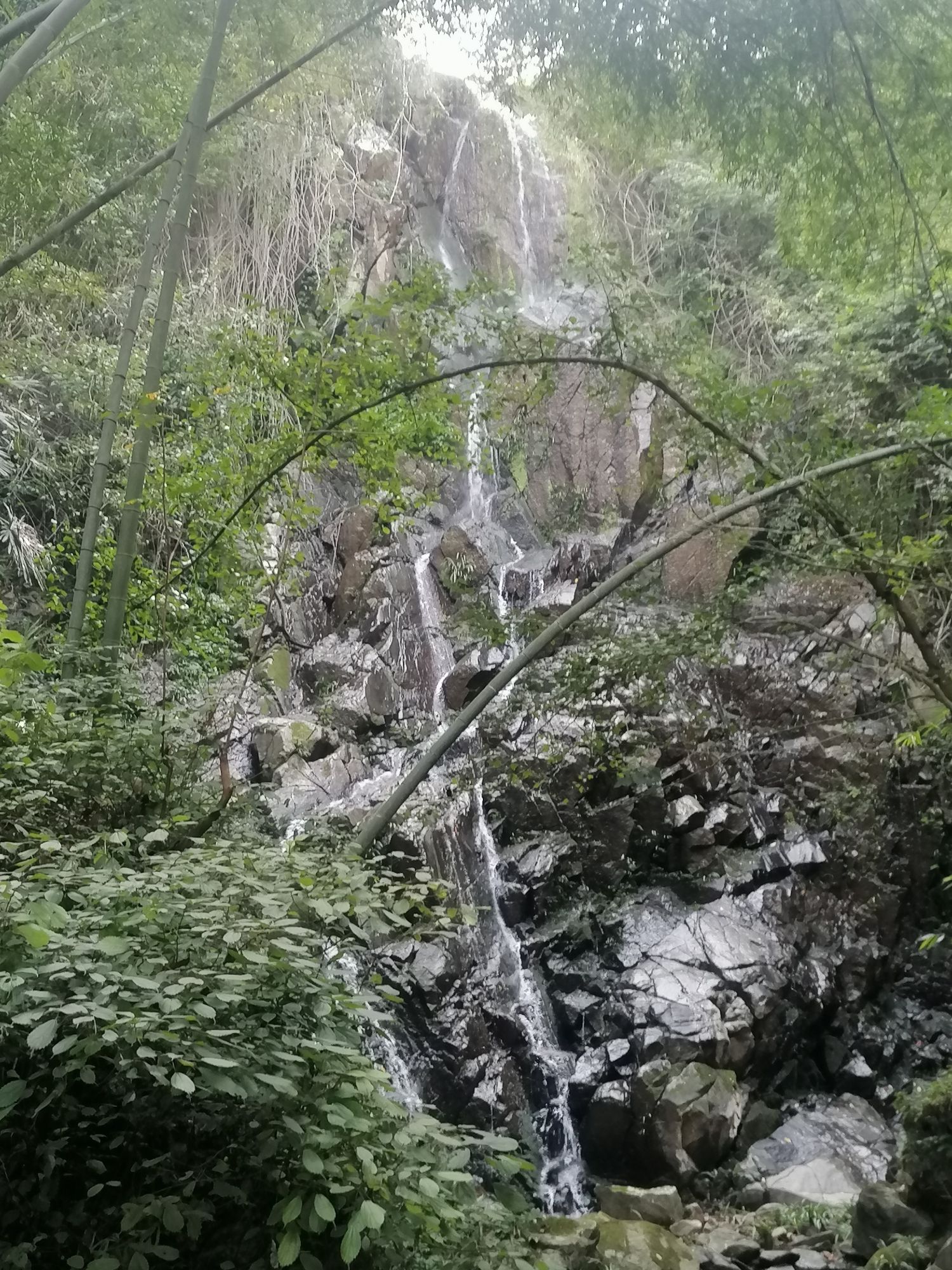 仙人桥景点旅行图片 1